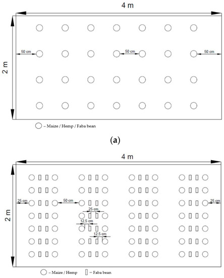 Agronomy 12 00141 g002a Agronomy 12 00141 g002a