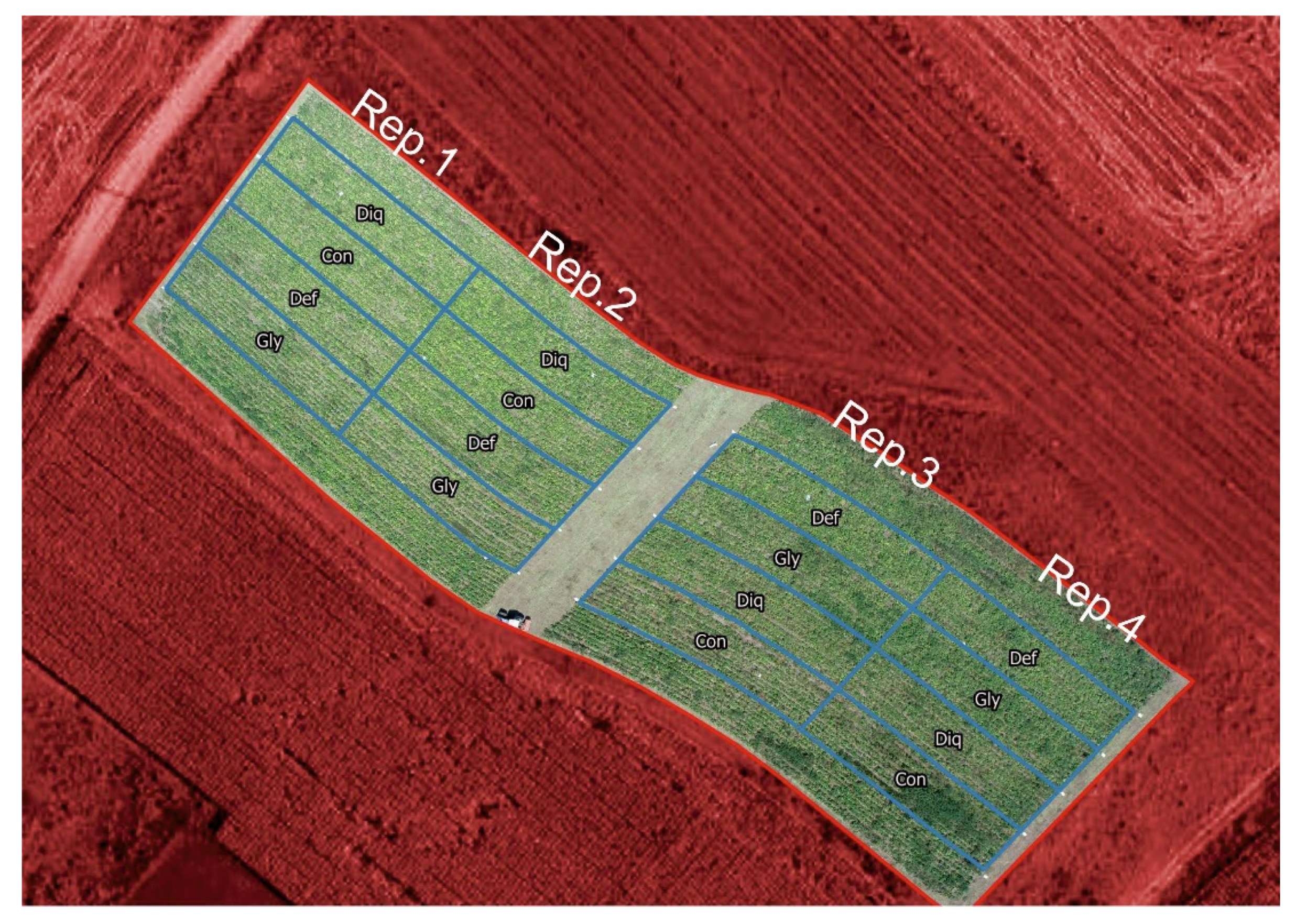 Agronomy 12 00146 g001
