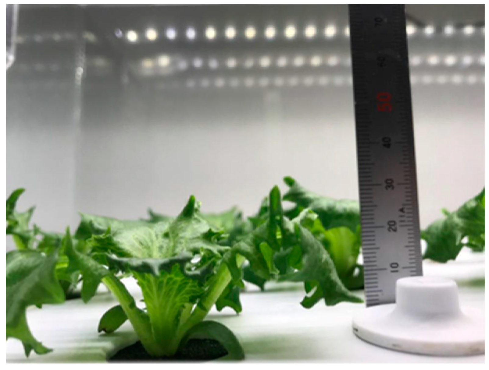 Agronomy 12 00173 g001 Agronomy 12 00173 g001