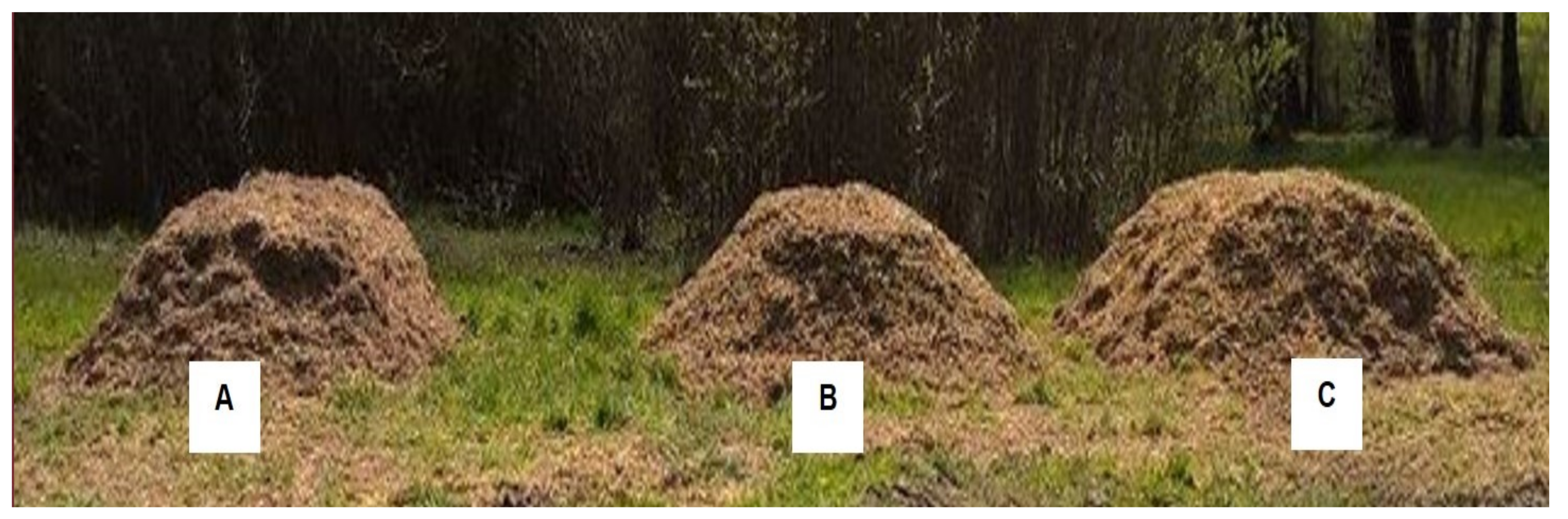 Agronomy 12 00175 g001 Agronomy 12 00175 g001