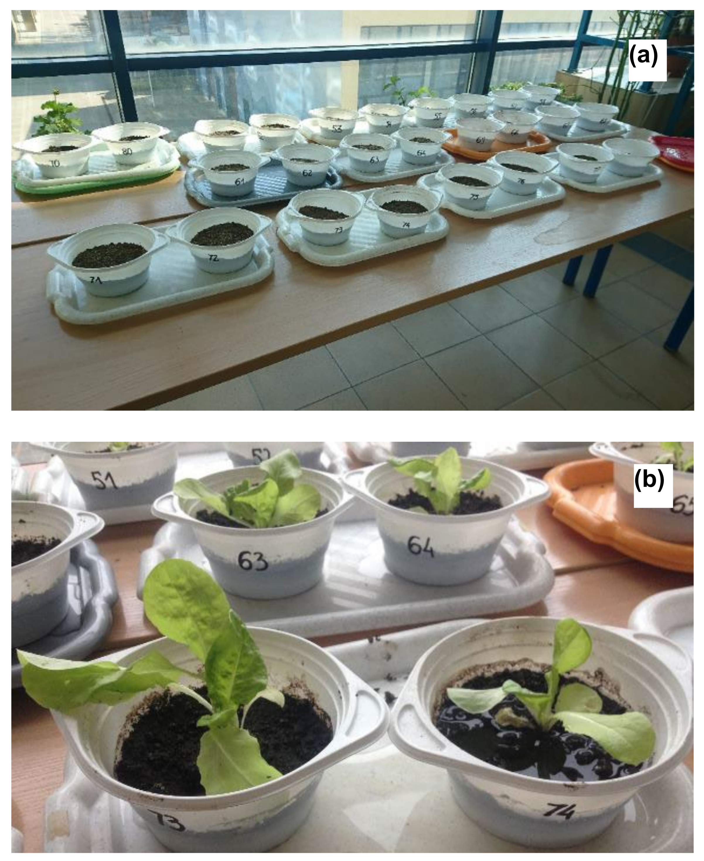 Agronomy 12 00175 g005 Agronomy 12 00175 g005