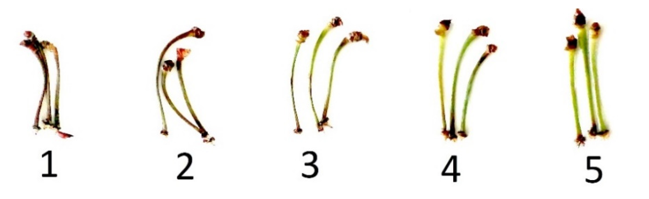 Agronomy 12 00188 g003