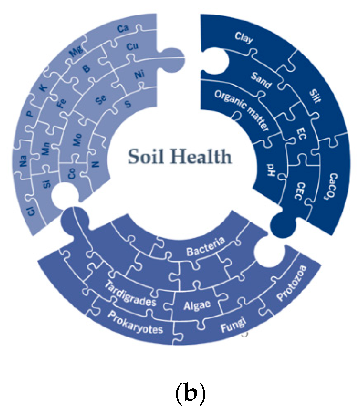 Agronomy 12 00191 g003b