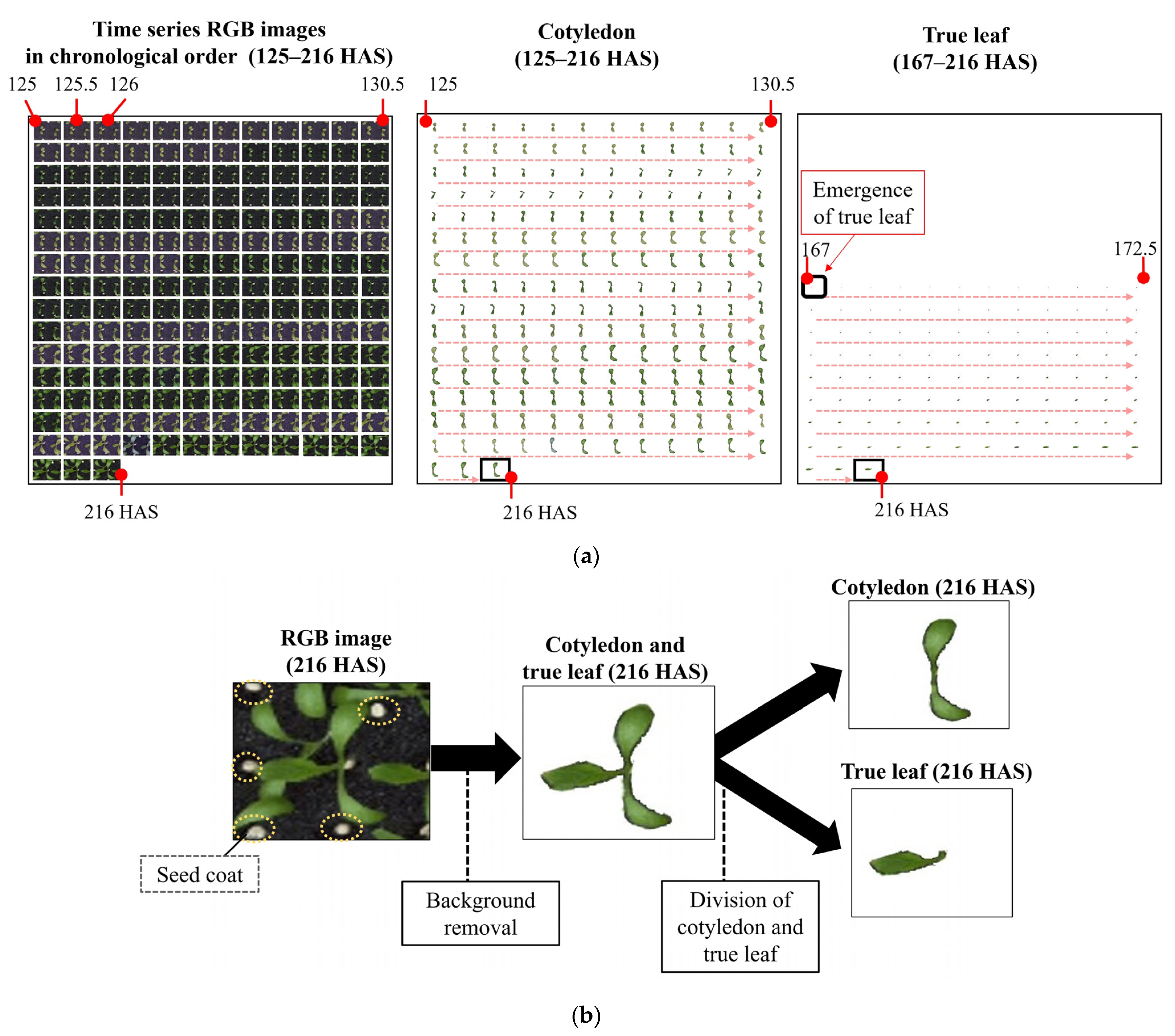 Agronomy 12 00194 g002