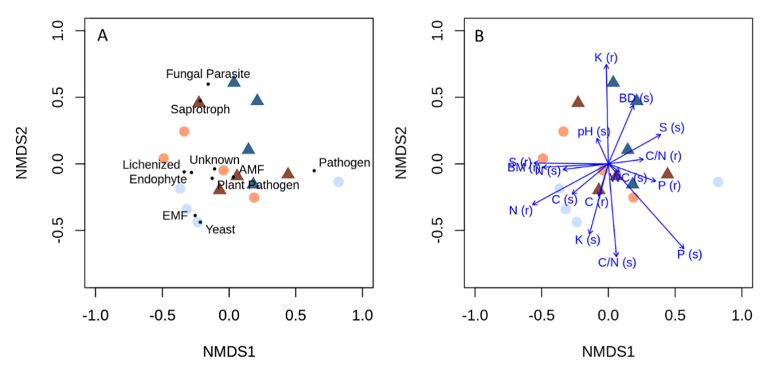 Agronomy 12 00199 g006