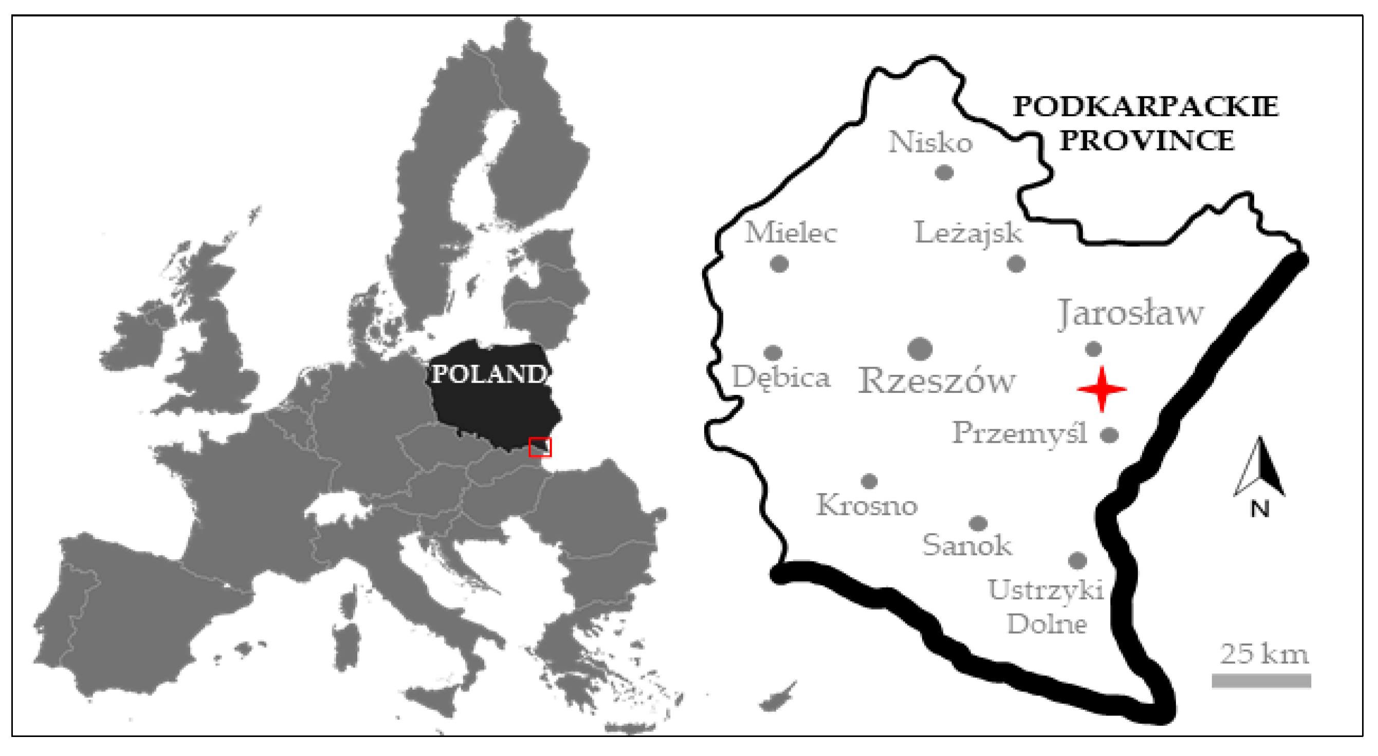 Agronomy 12 00208 g001