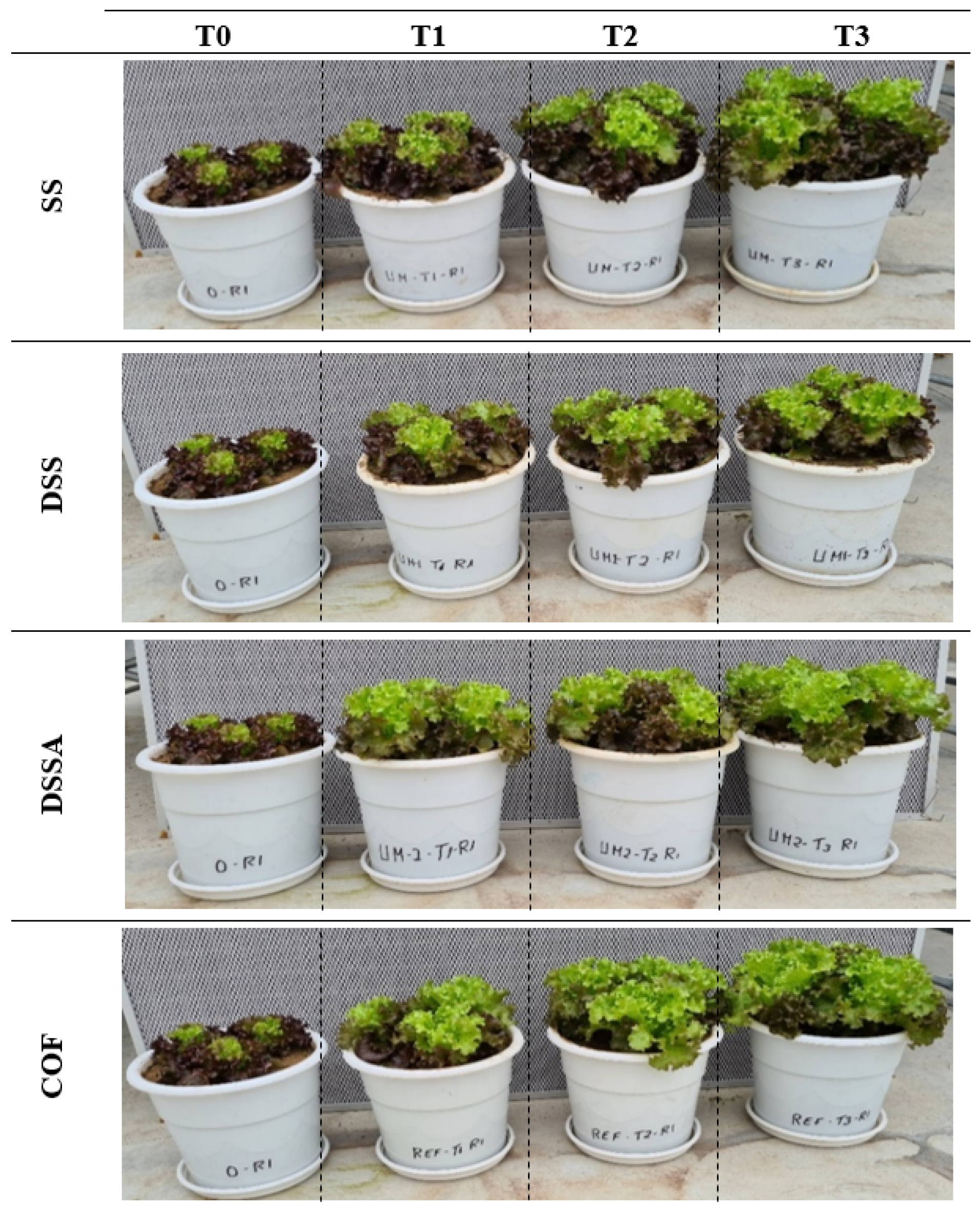 Agronomy 12 00209 g001
