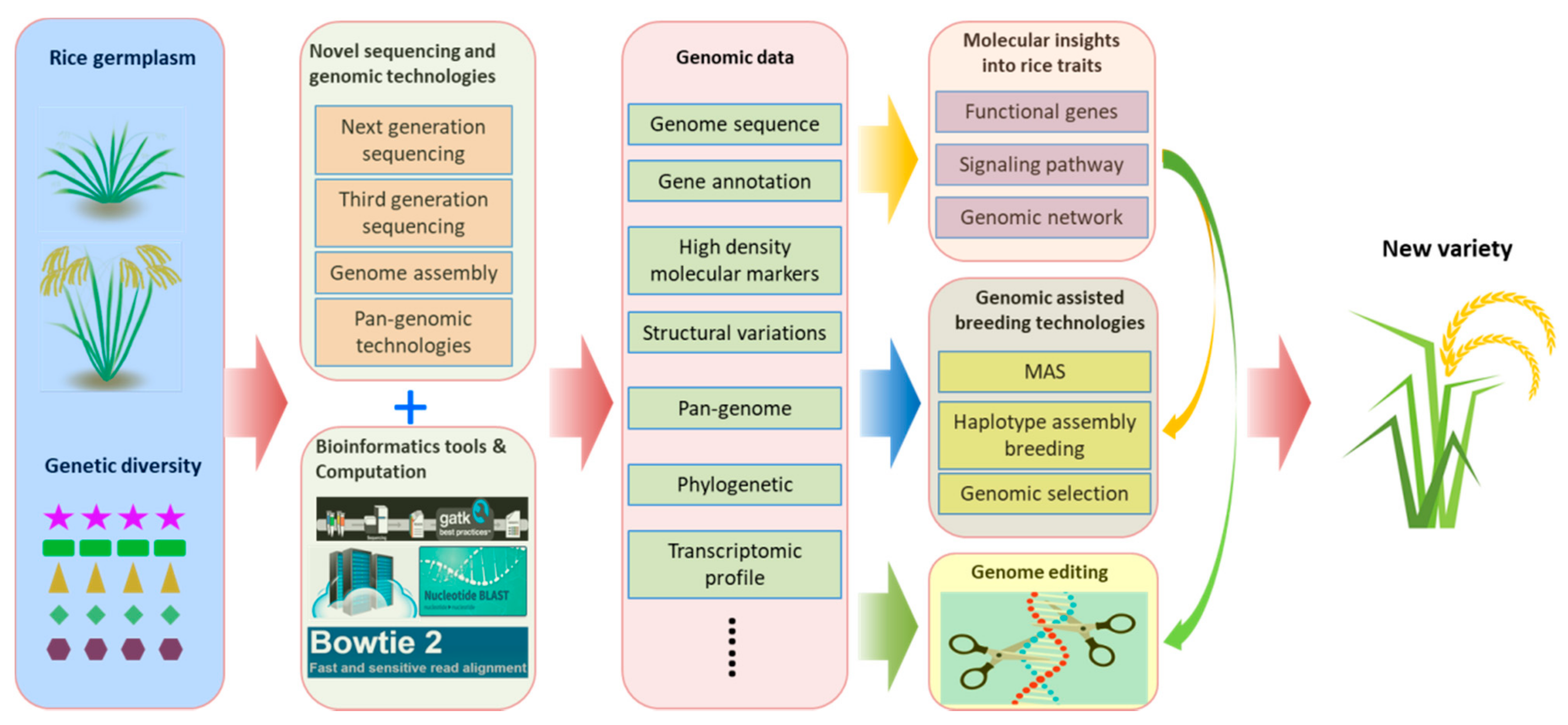 Agronomy 12 00218 g001