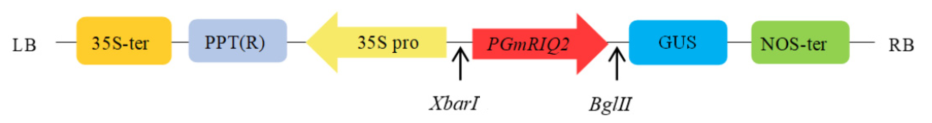 Agronomy 12 00227 g001