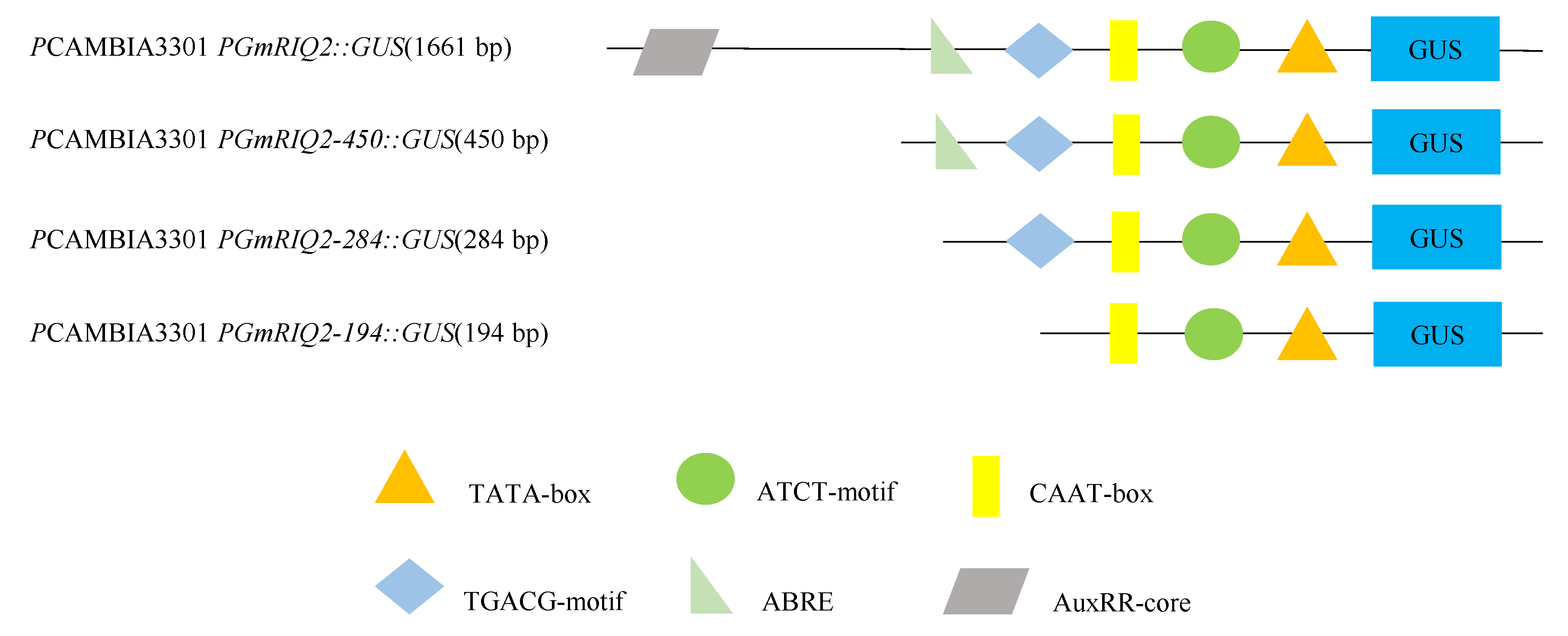 Agronomy 12 00227 g002