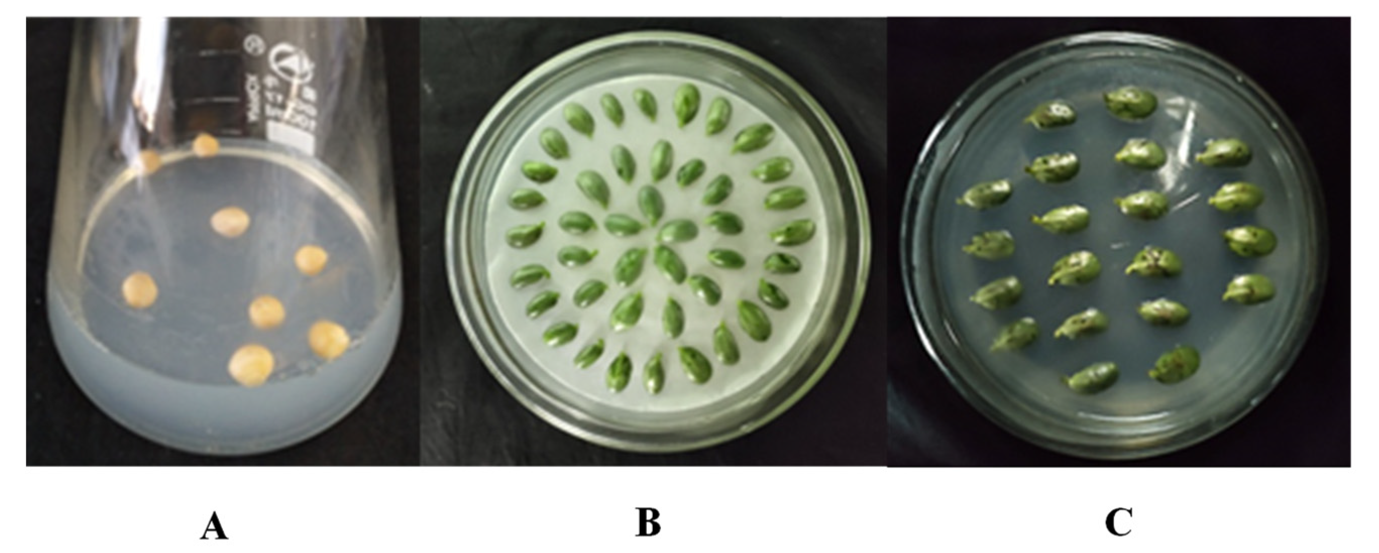 Agronomy 12 00227 g003
