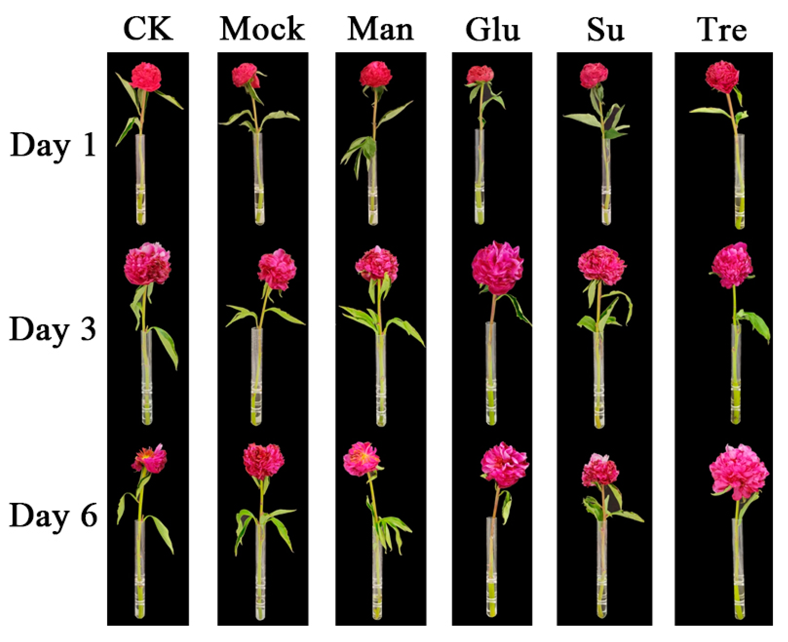 Agronomy 12 00230 g007