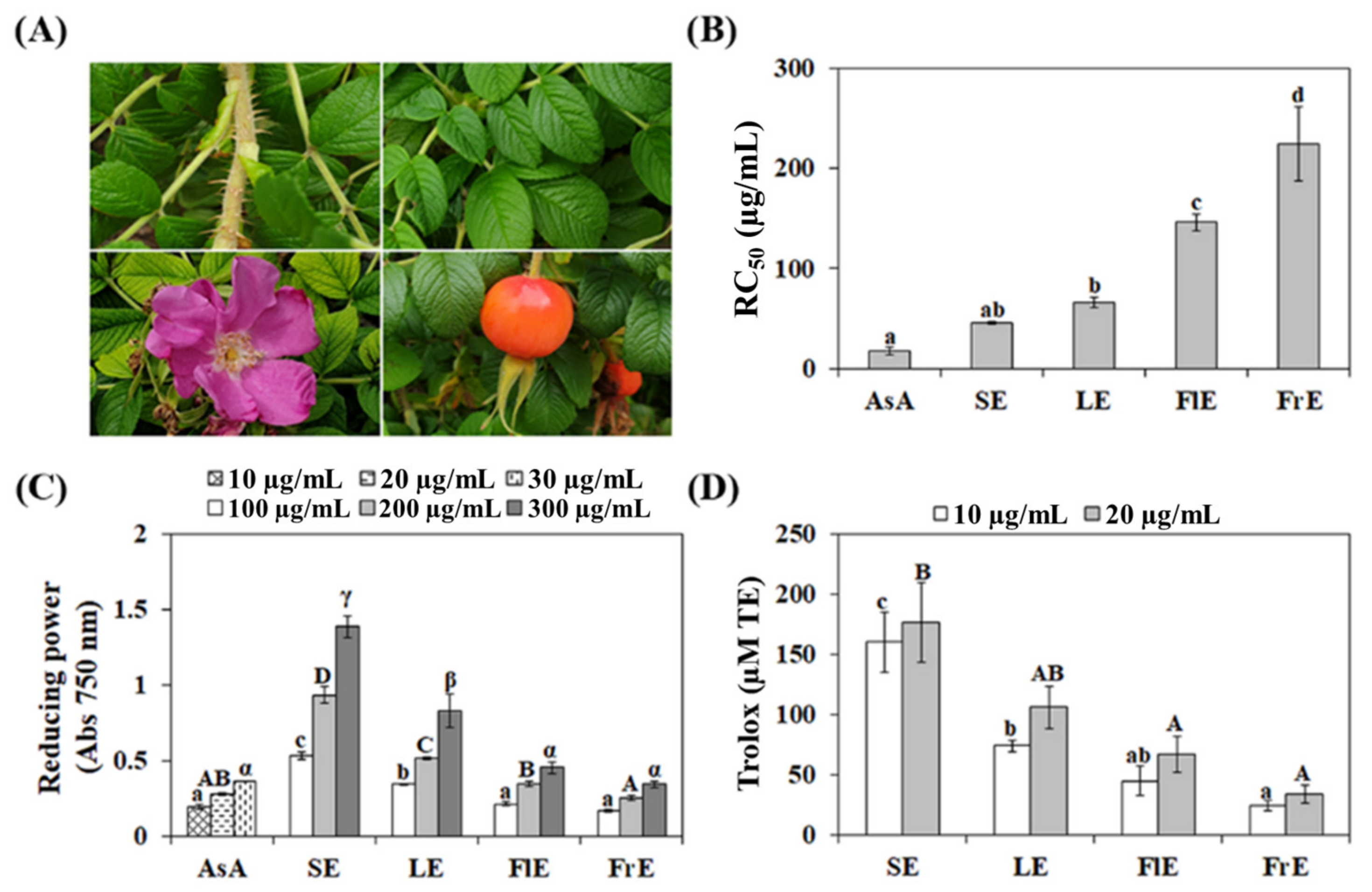 Agronomy 12 00238 g001