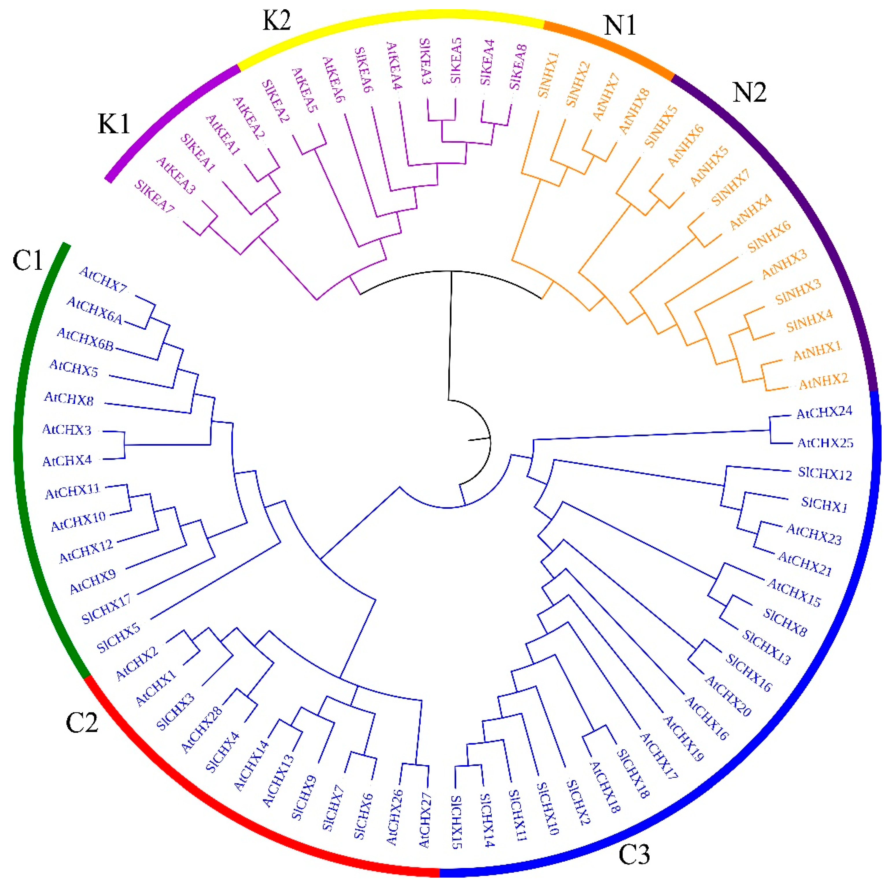 Agronomy 12 00245 g001