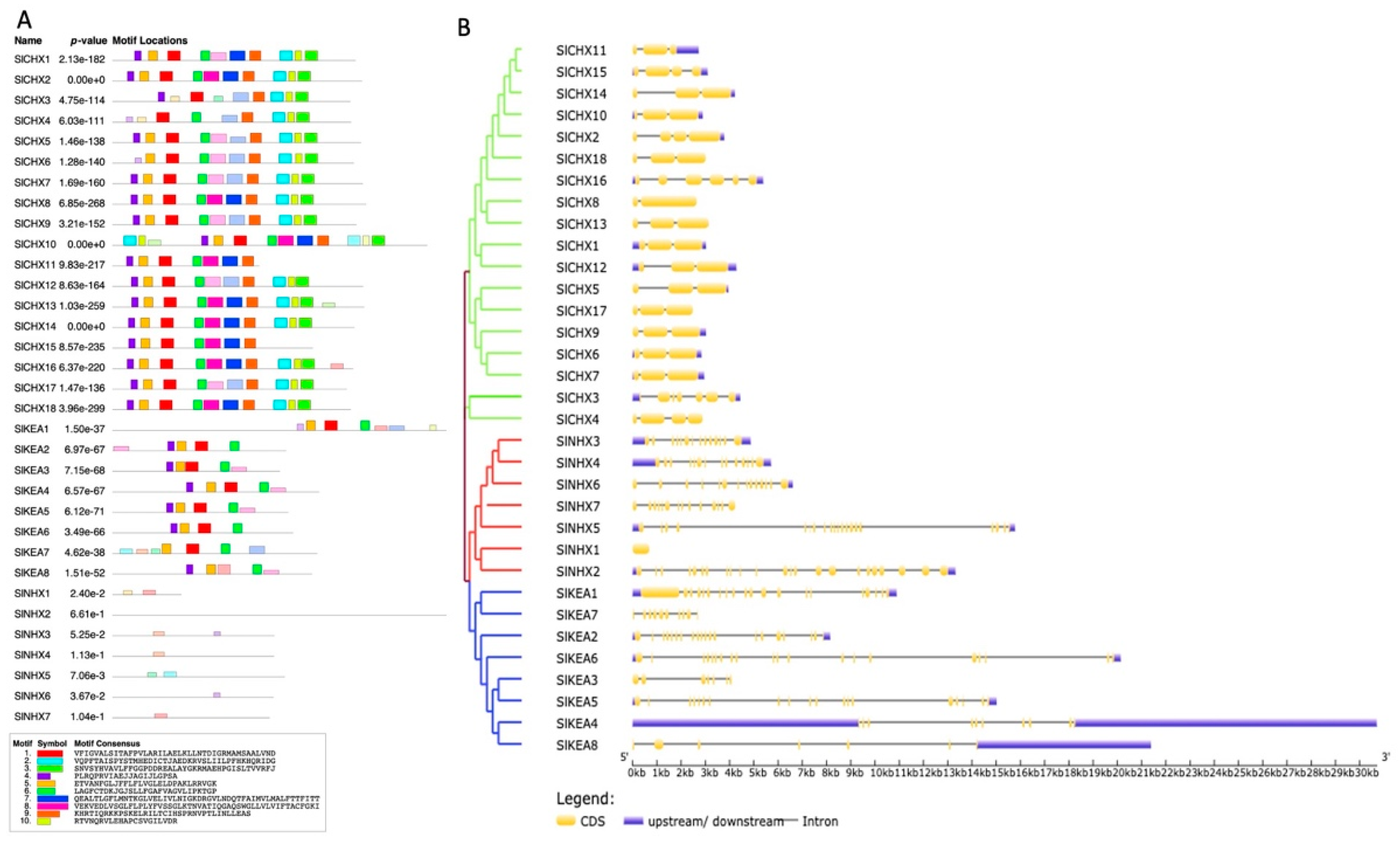 Agronomy 12 00245 g002
