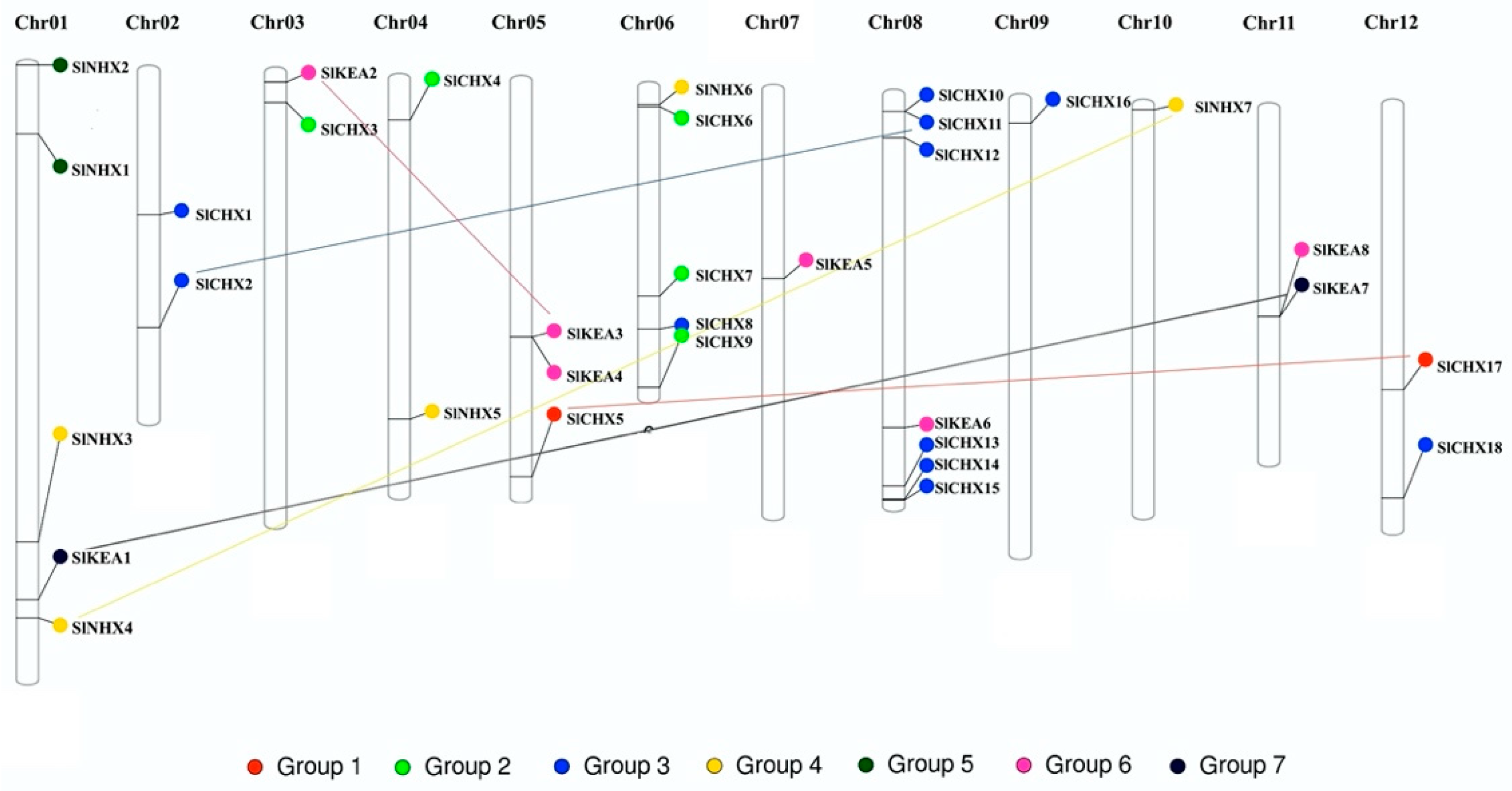 Agronomy 12 00245 g003
