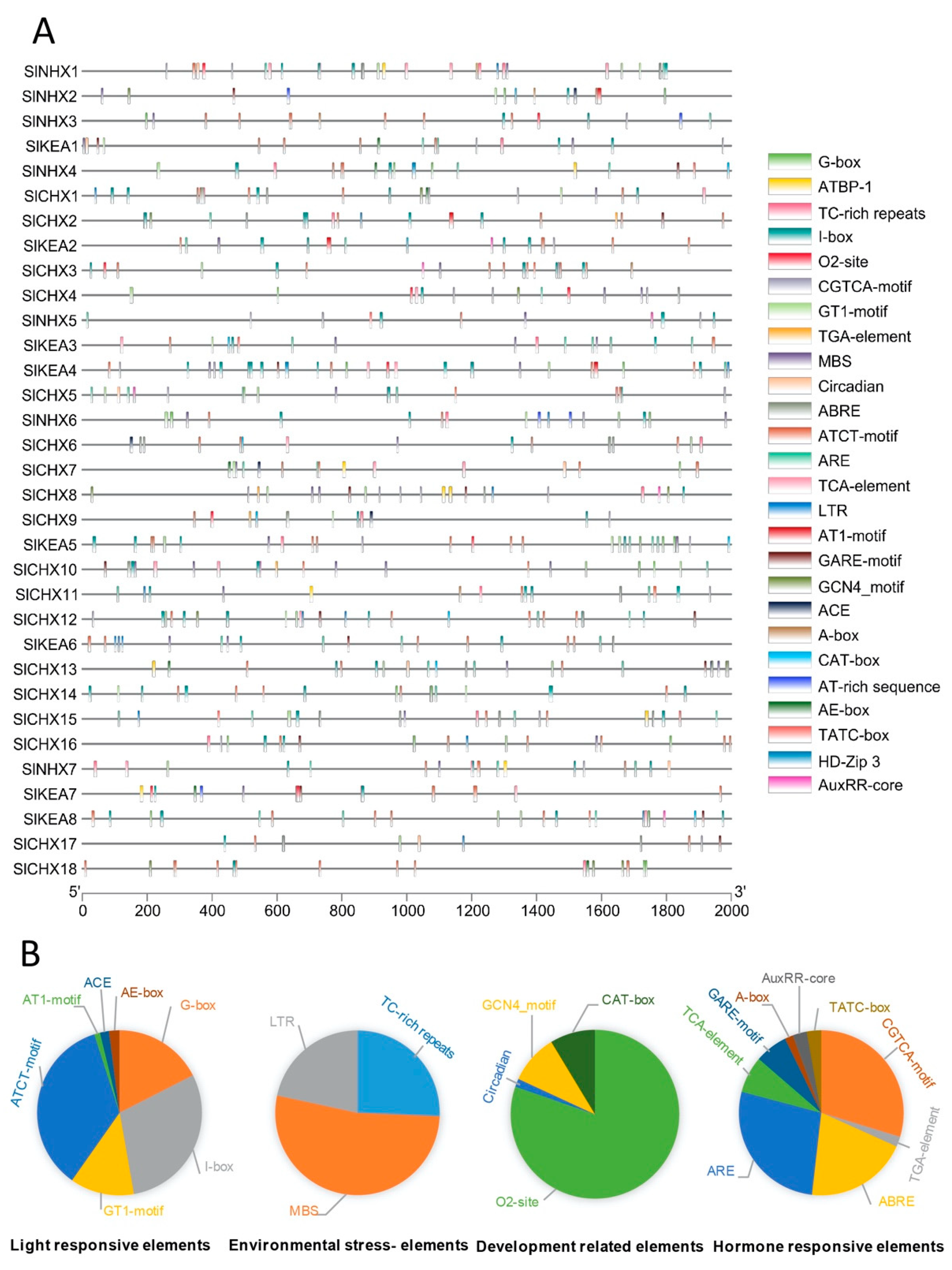 Agronomy 12 00245 g005
