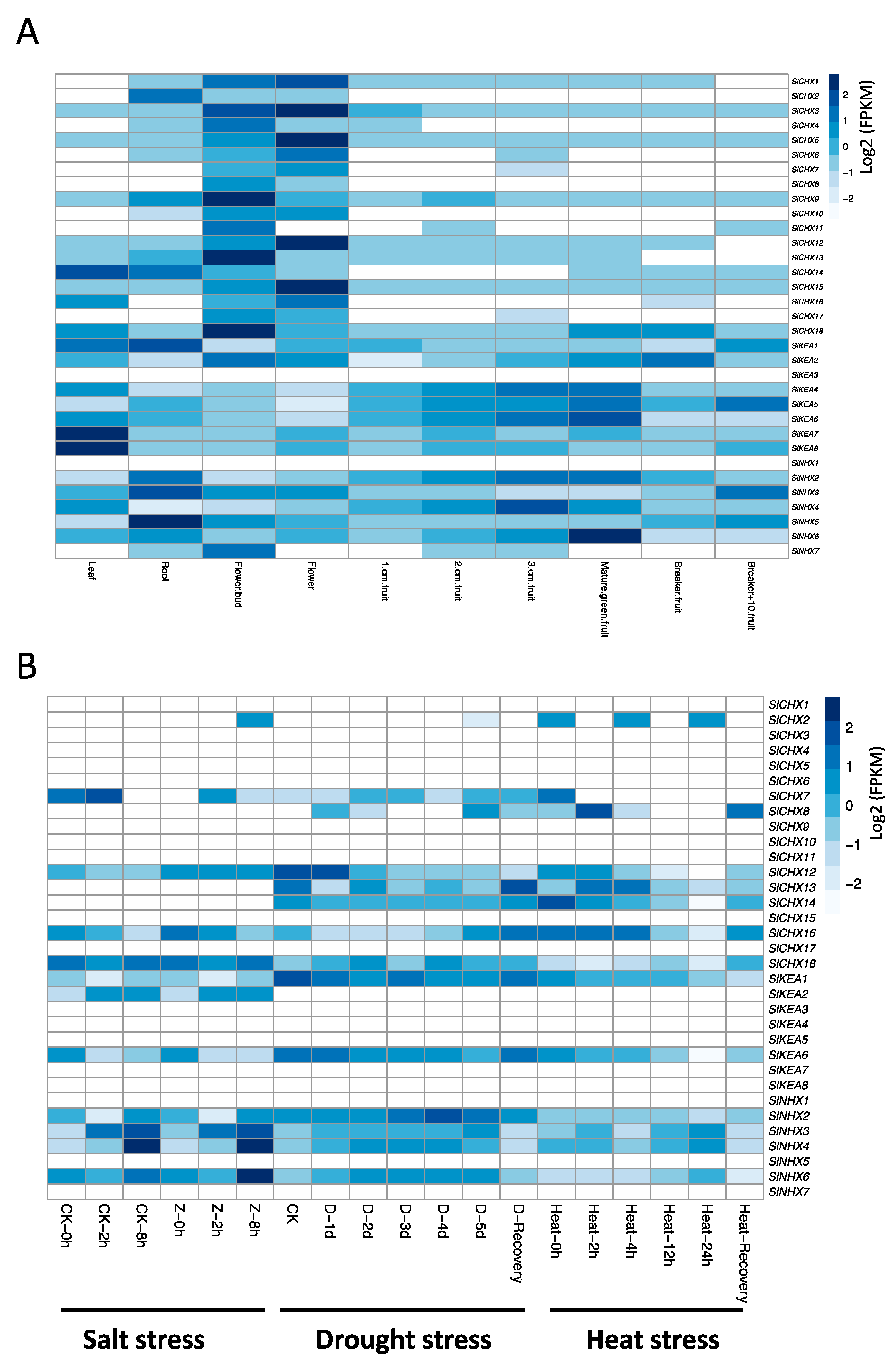Agronomy 12 00245 g006