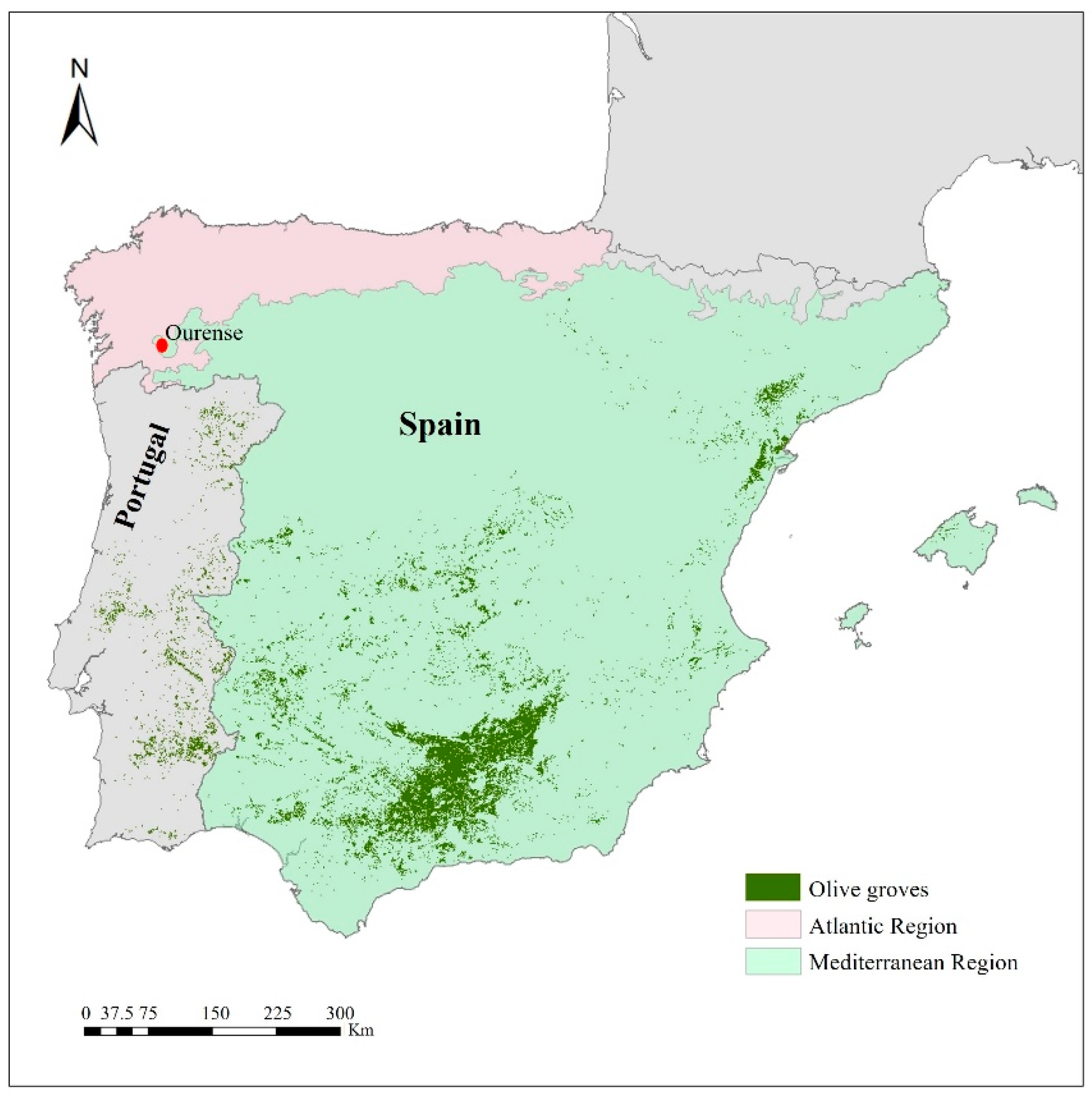 Agronomy 12 00246 g001