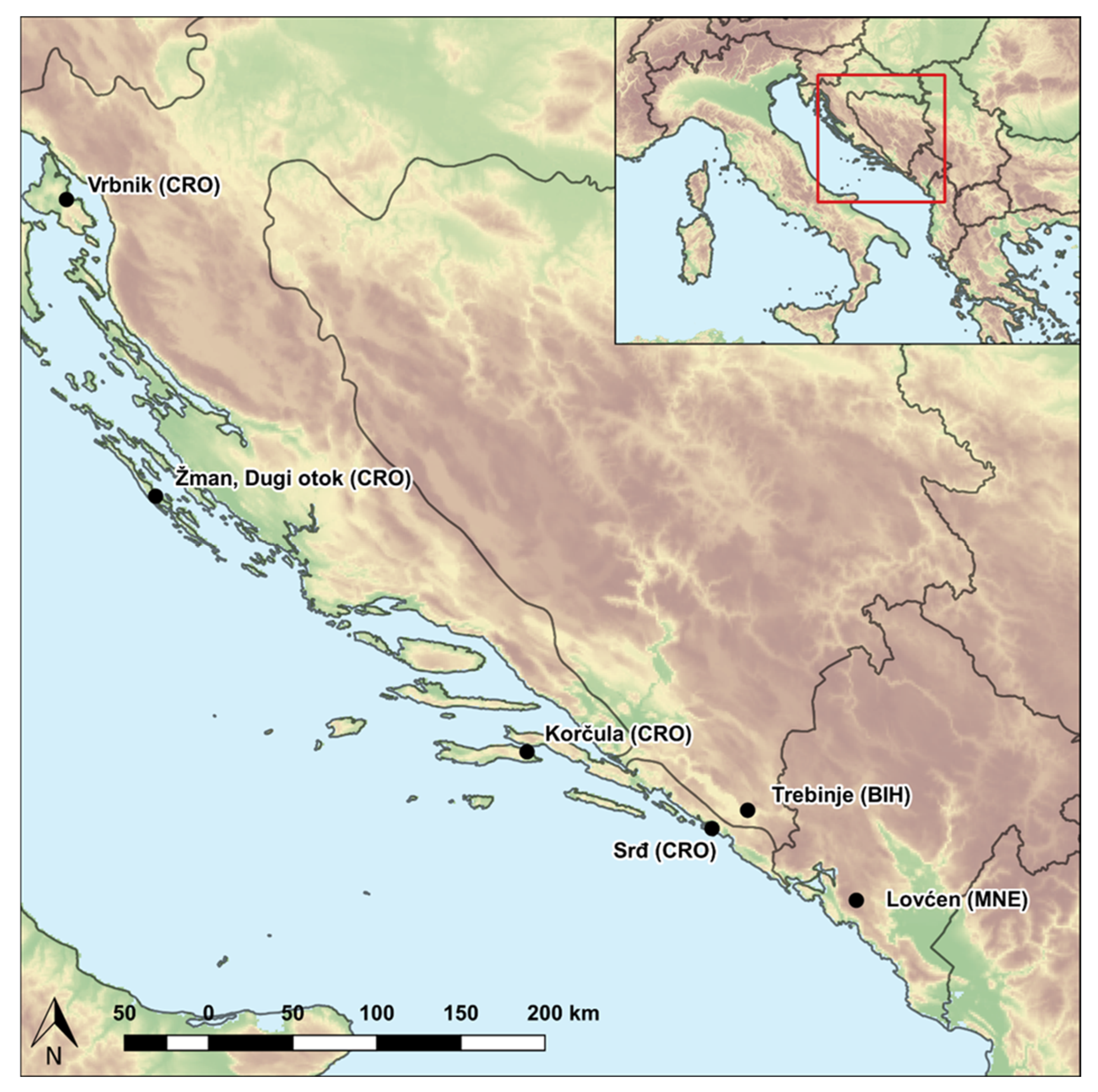 Agronomy 12 00252 g001