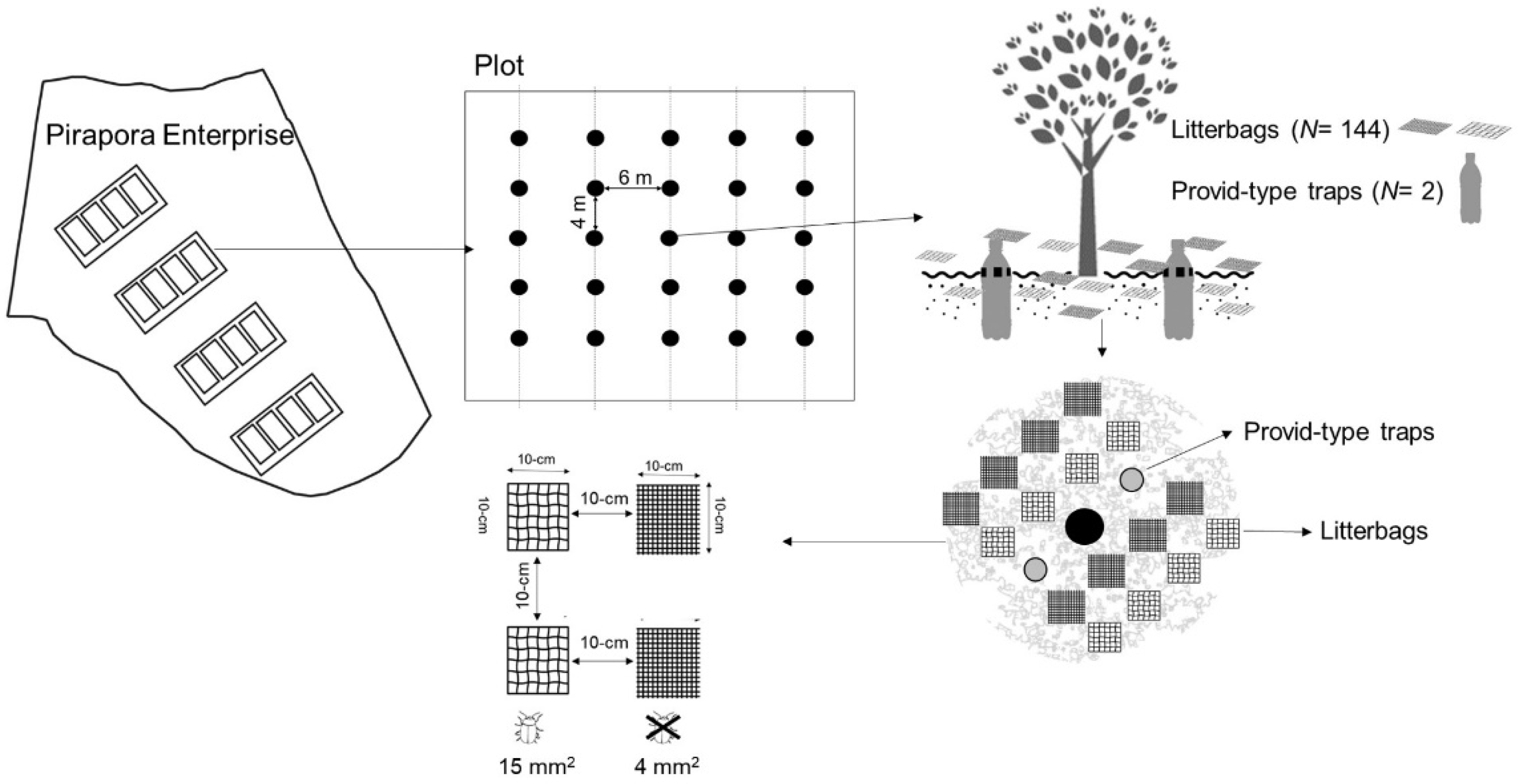 Agronomy 12 00263 g002