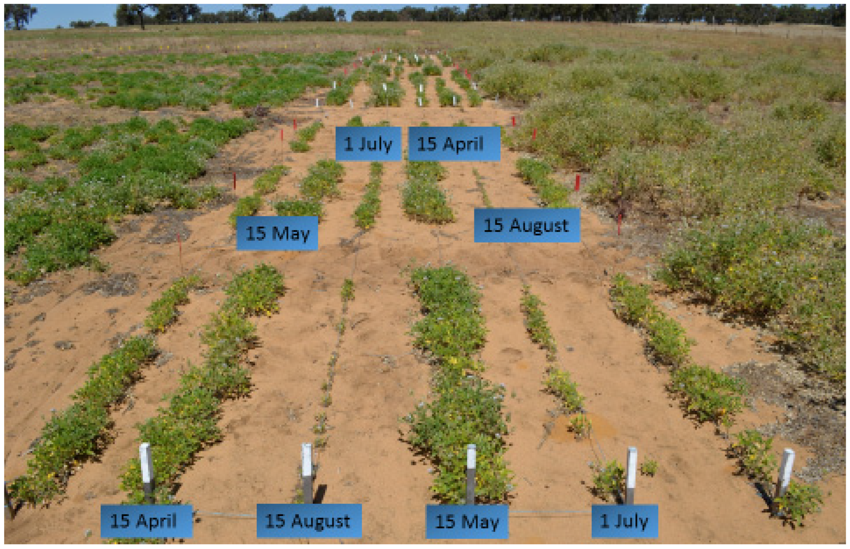 Agronomy 12 00274 g002 Agronomy 12 00274 g002