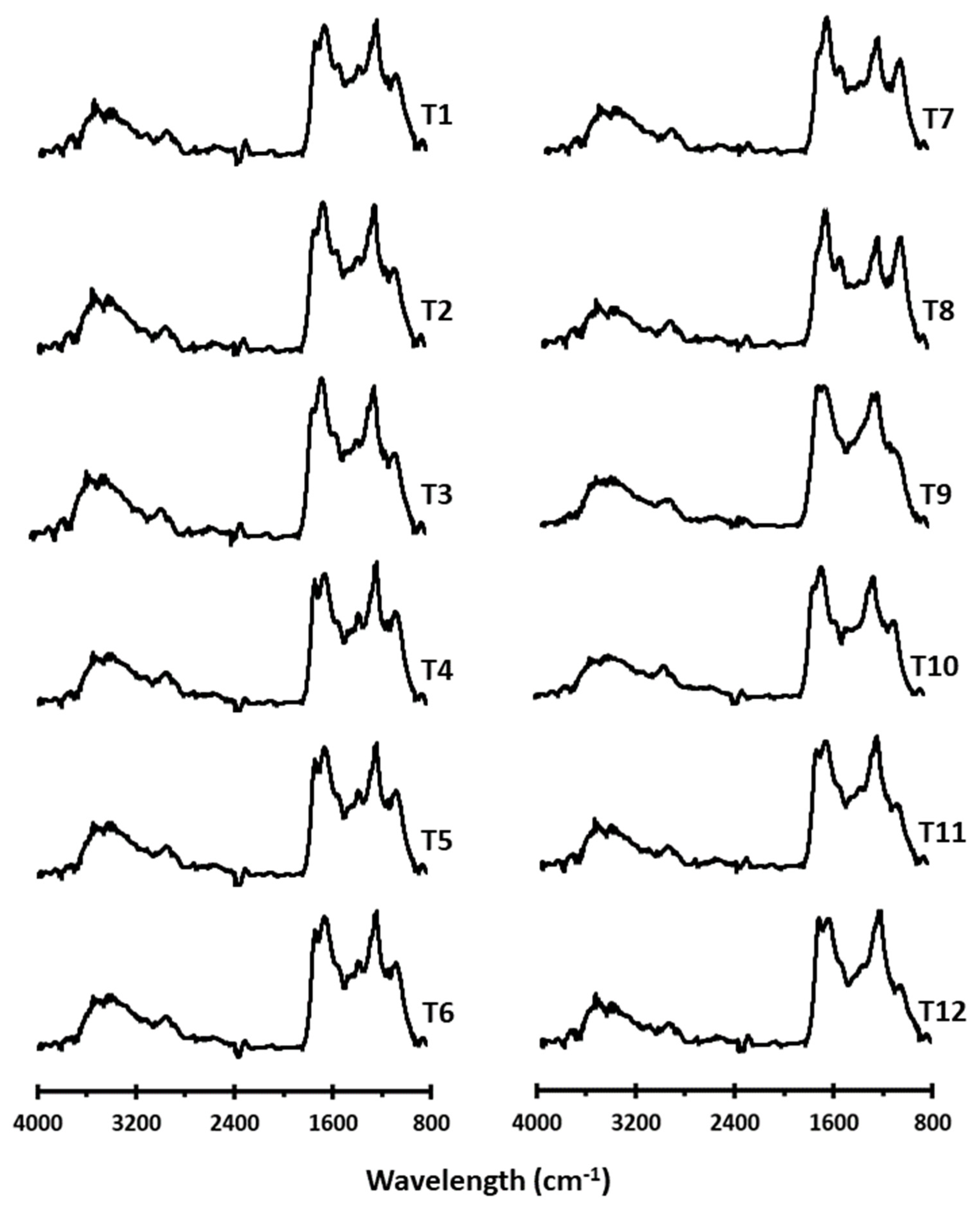 Agronomy 12 00283 g003