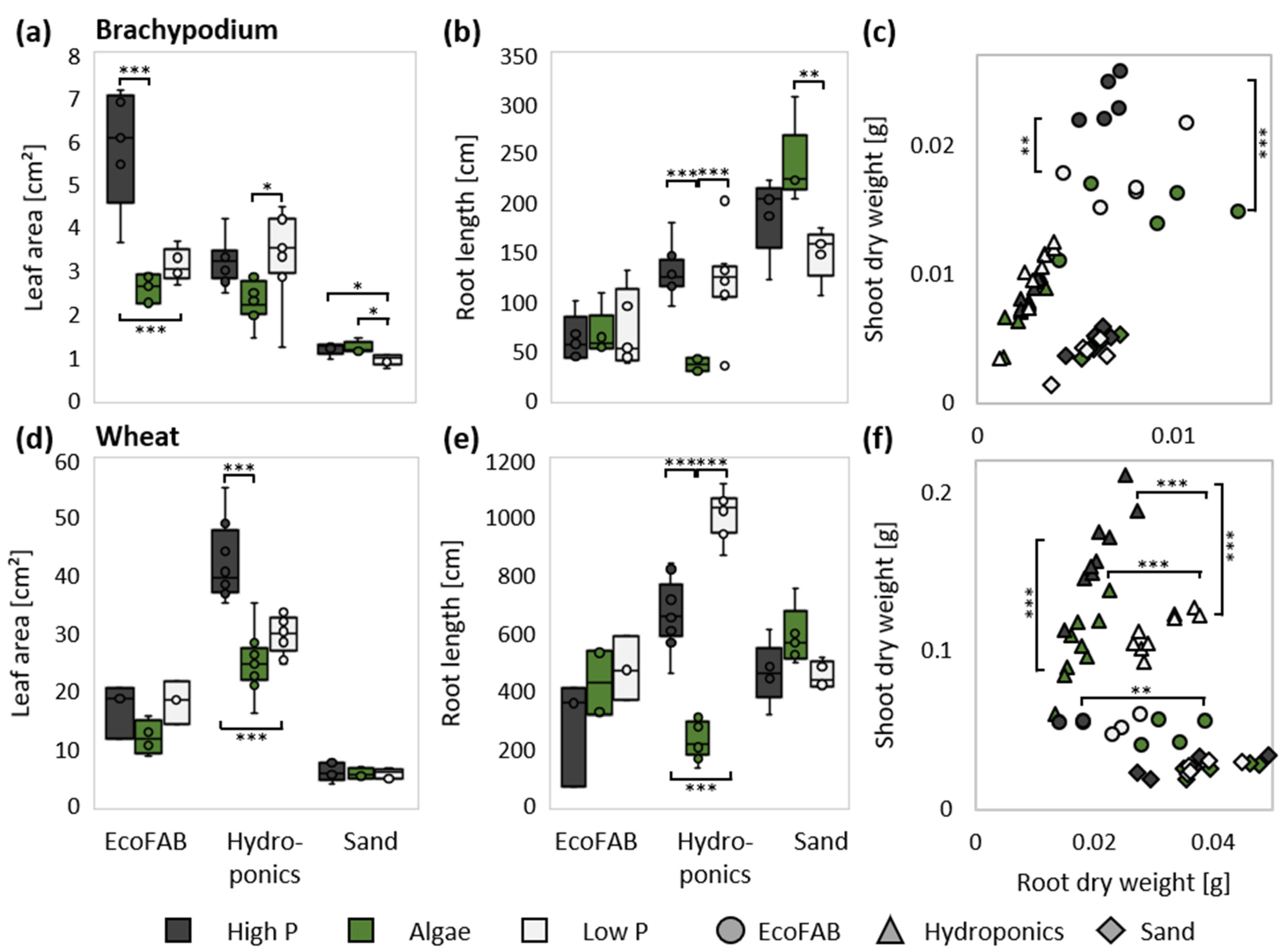 Agronomy 12 00285 g002