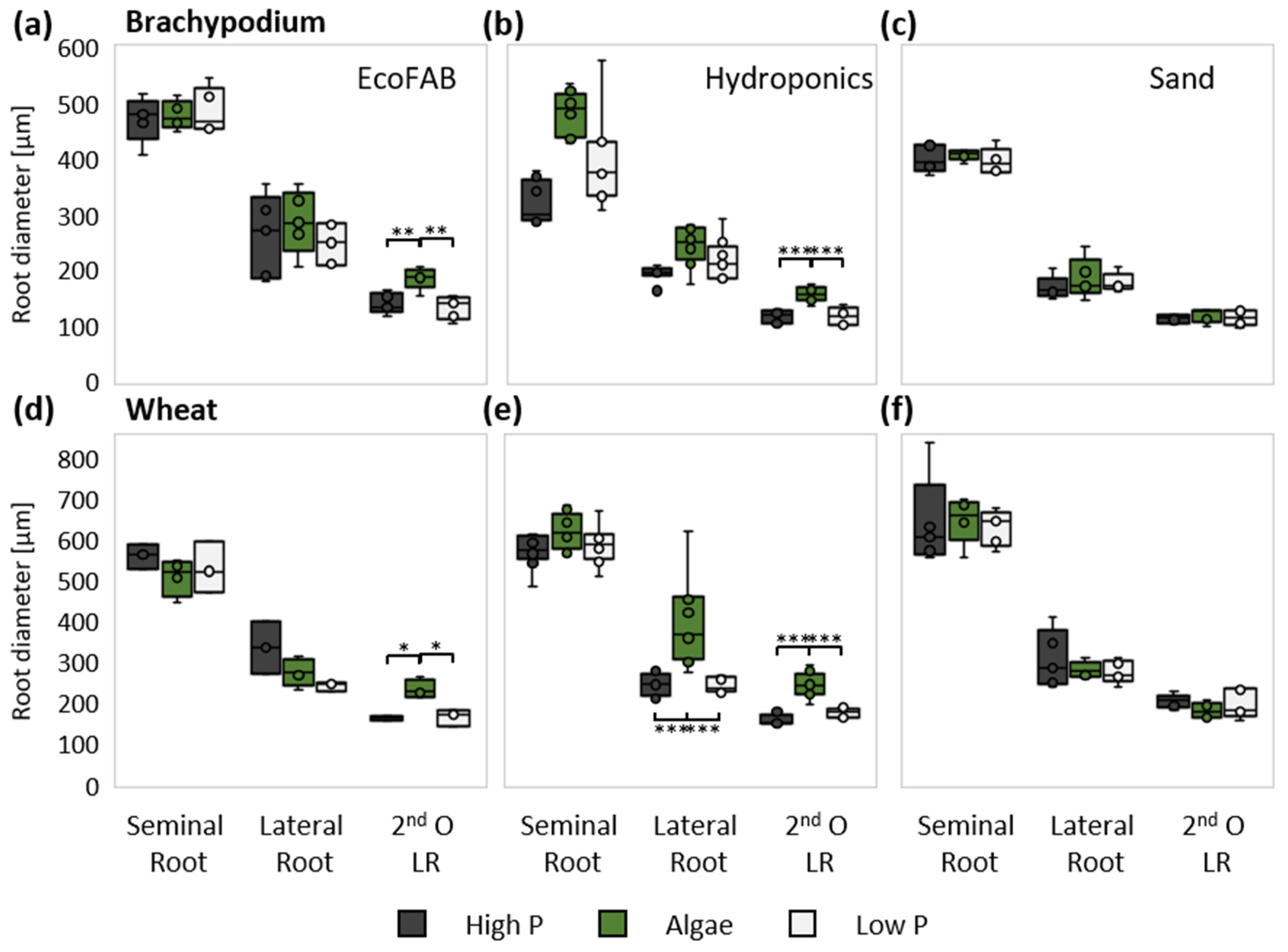 Agronomy 12 00285 g005