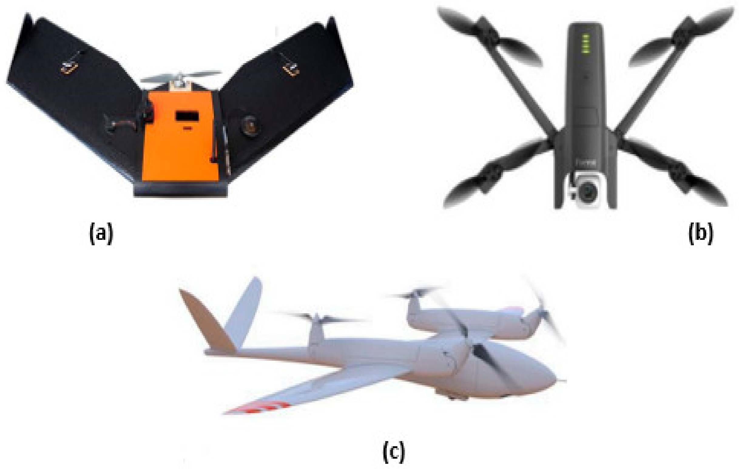 Agronomy 12 00297 g001