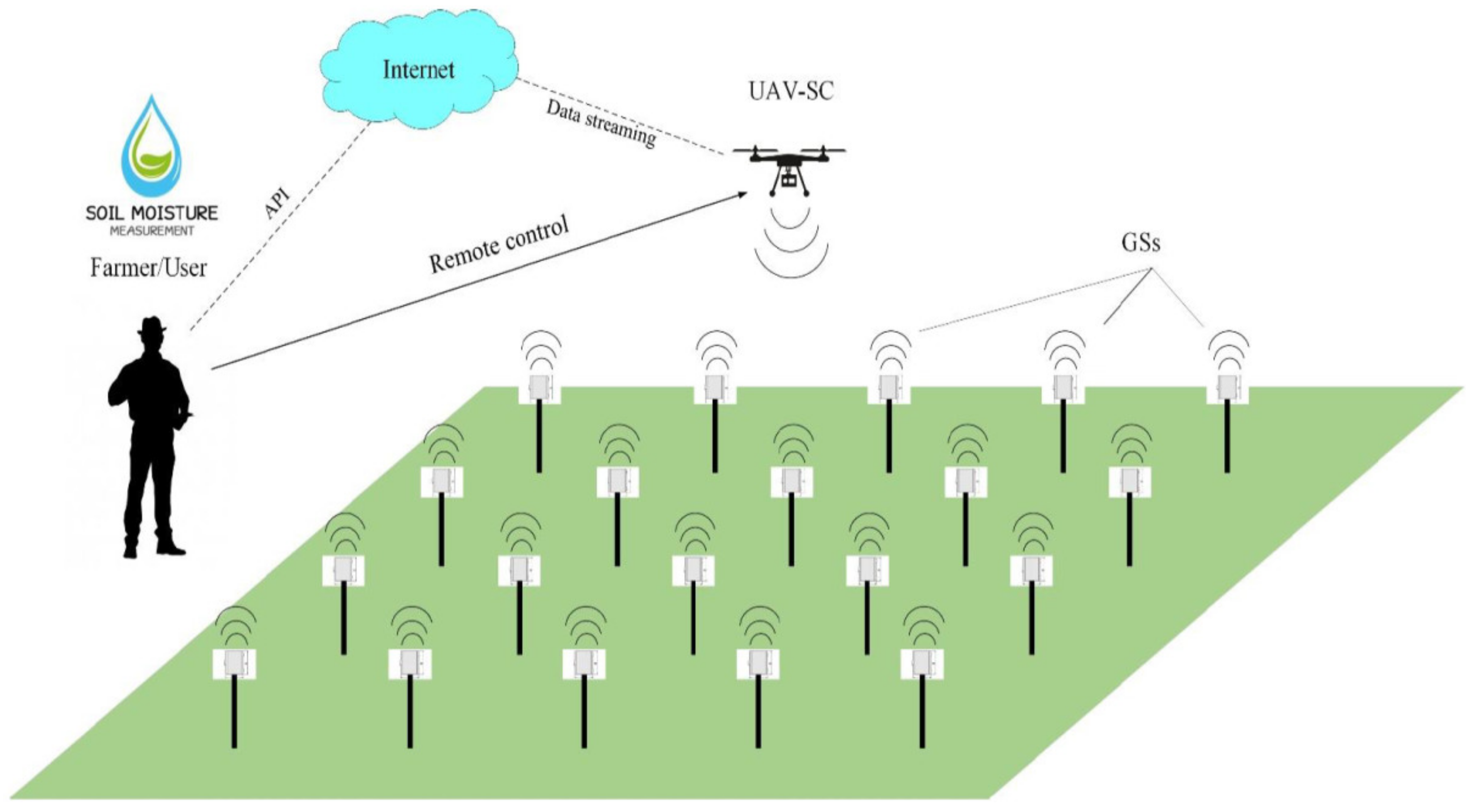 Agronomy 12 00297 g004