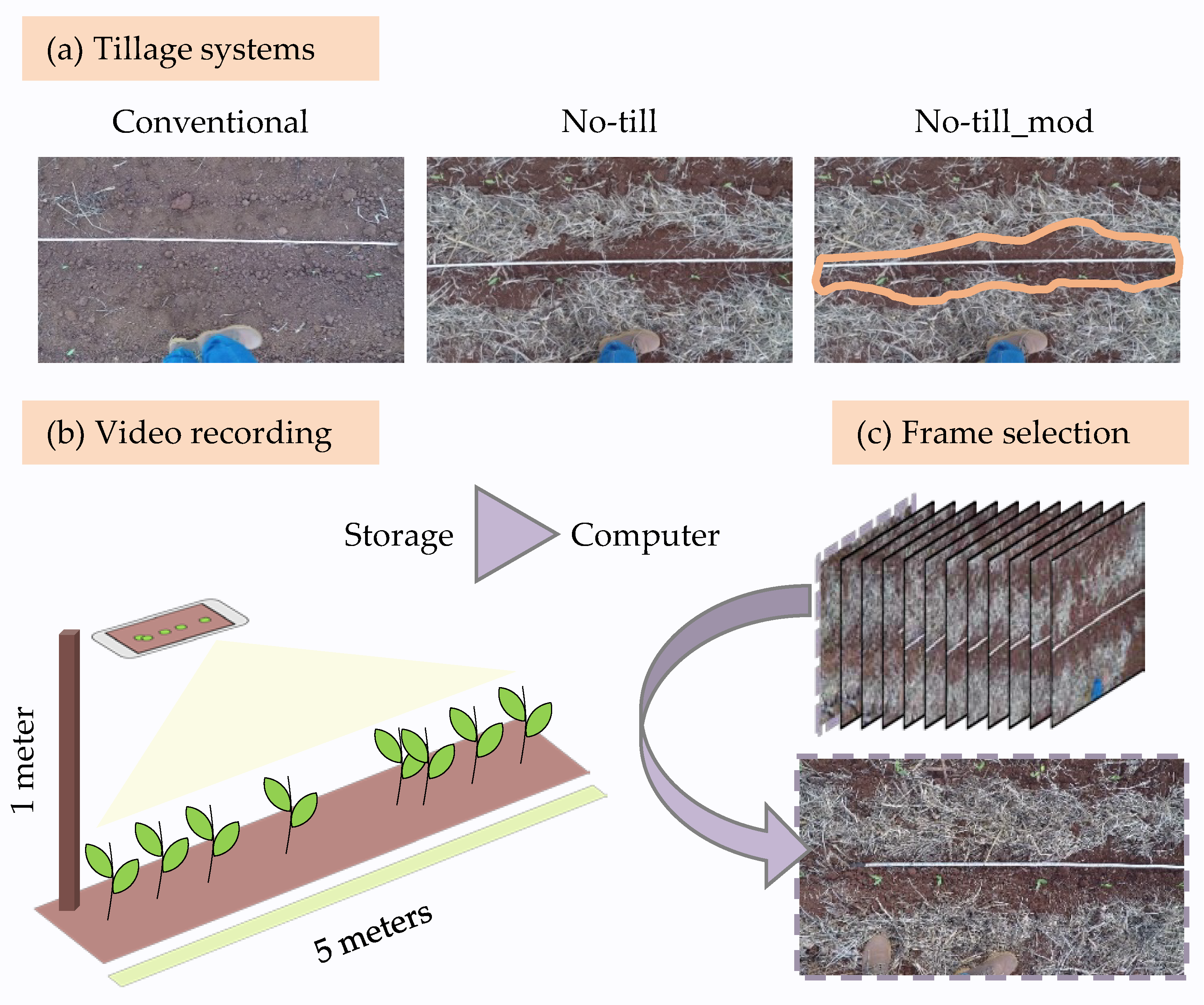 Agronomy 12 00301 g001