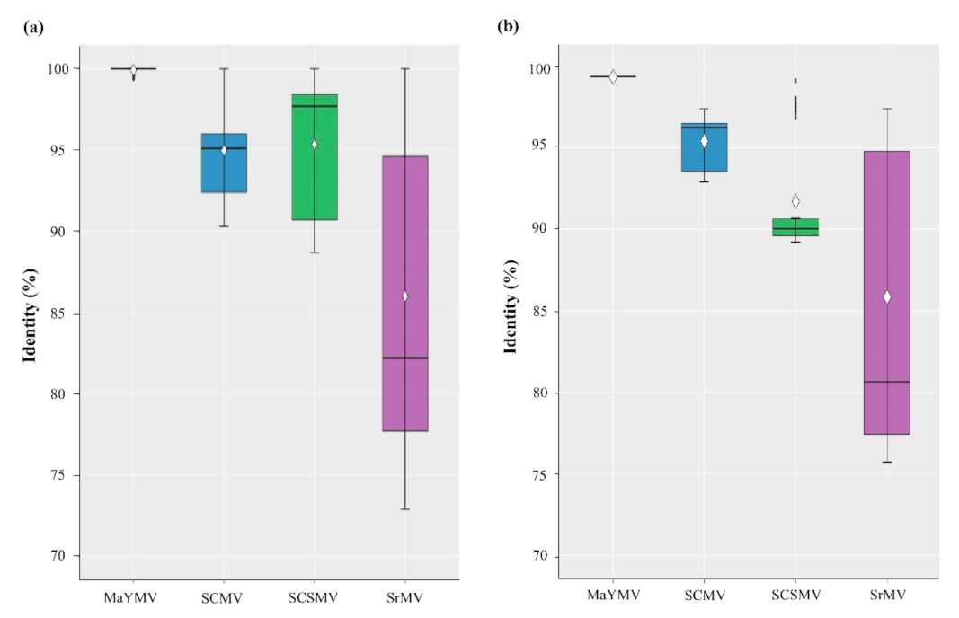 Agronomy 12 00302 g002