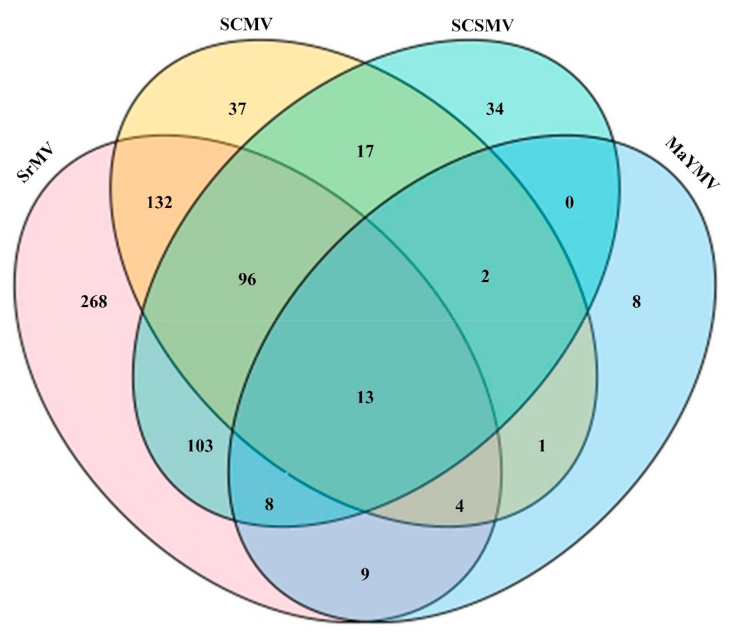 Agronomy 12 00302 g003