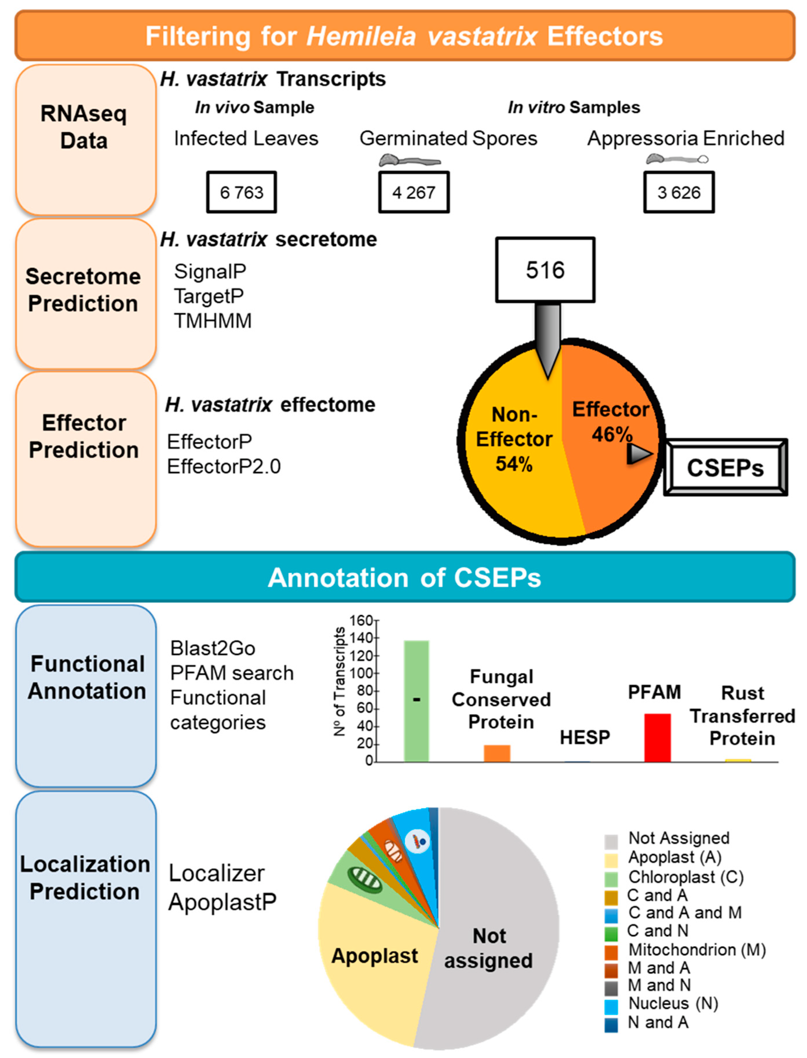 Agronomy 12 00326 g002