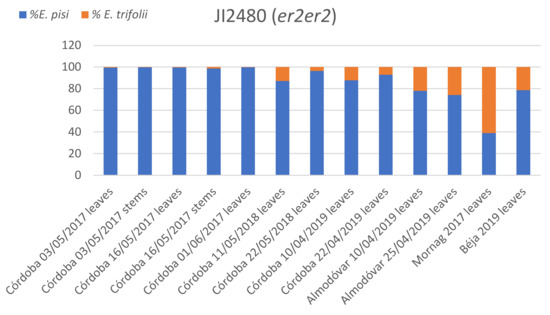 Agronomy 12 00334 g002 550