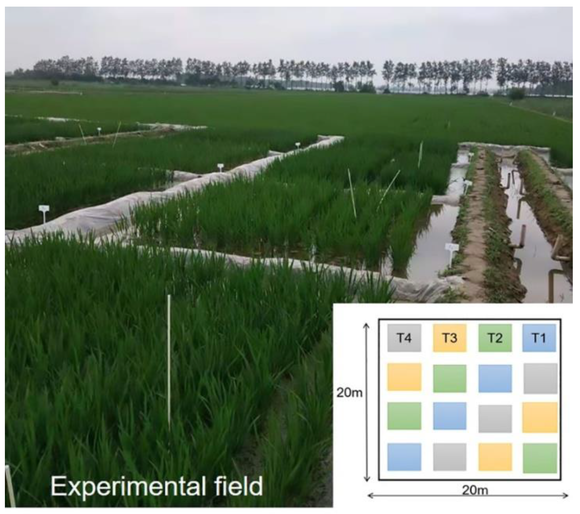 Agronomy 12 00342 g001