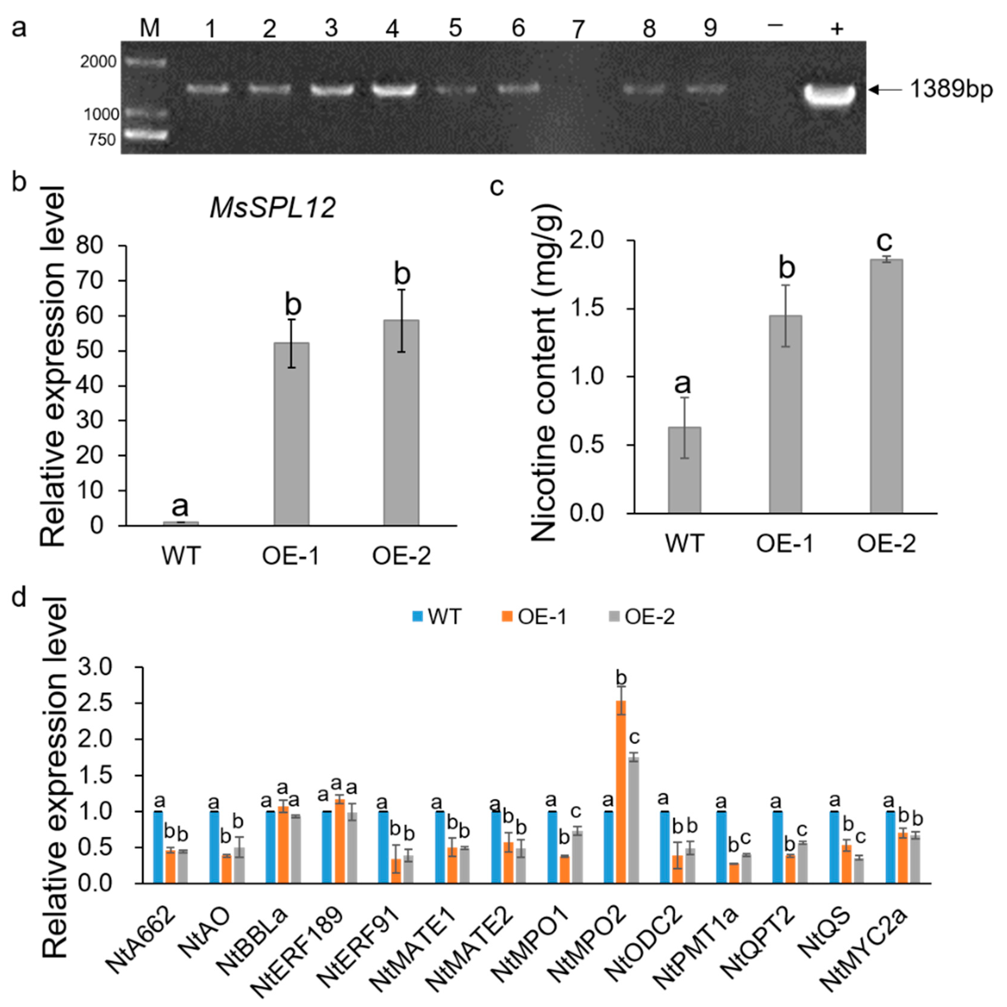 Agronomy 12 00348 g006 Agronomy 12 00348 g006