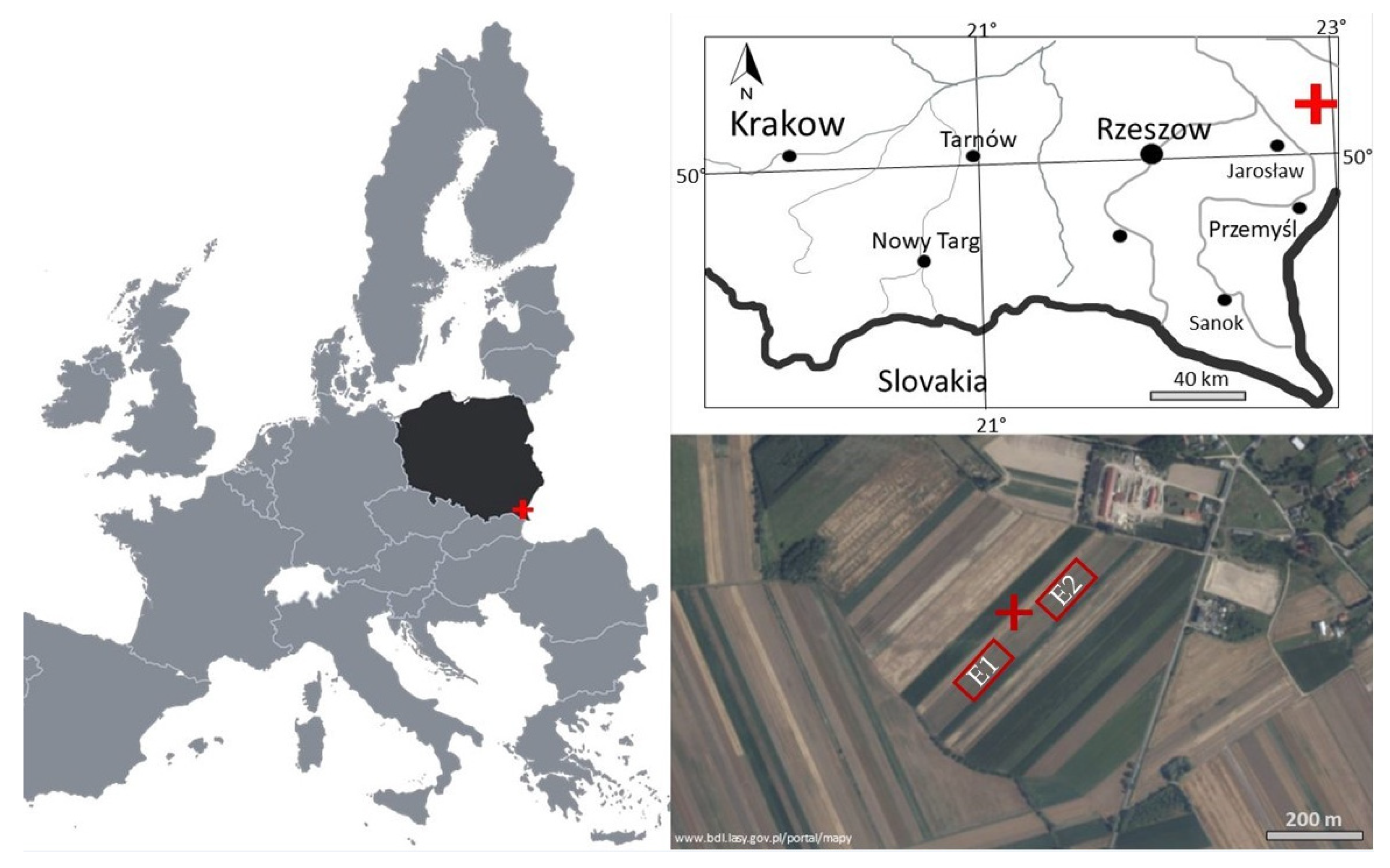 Agronomy 12 00379 g001