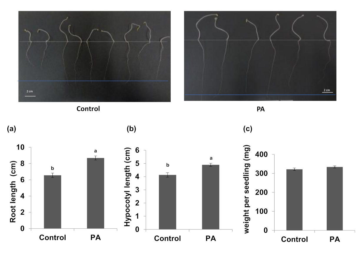 Agronomy 12 00383 g003 Agronomy 12 00383 g003