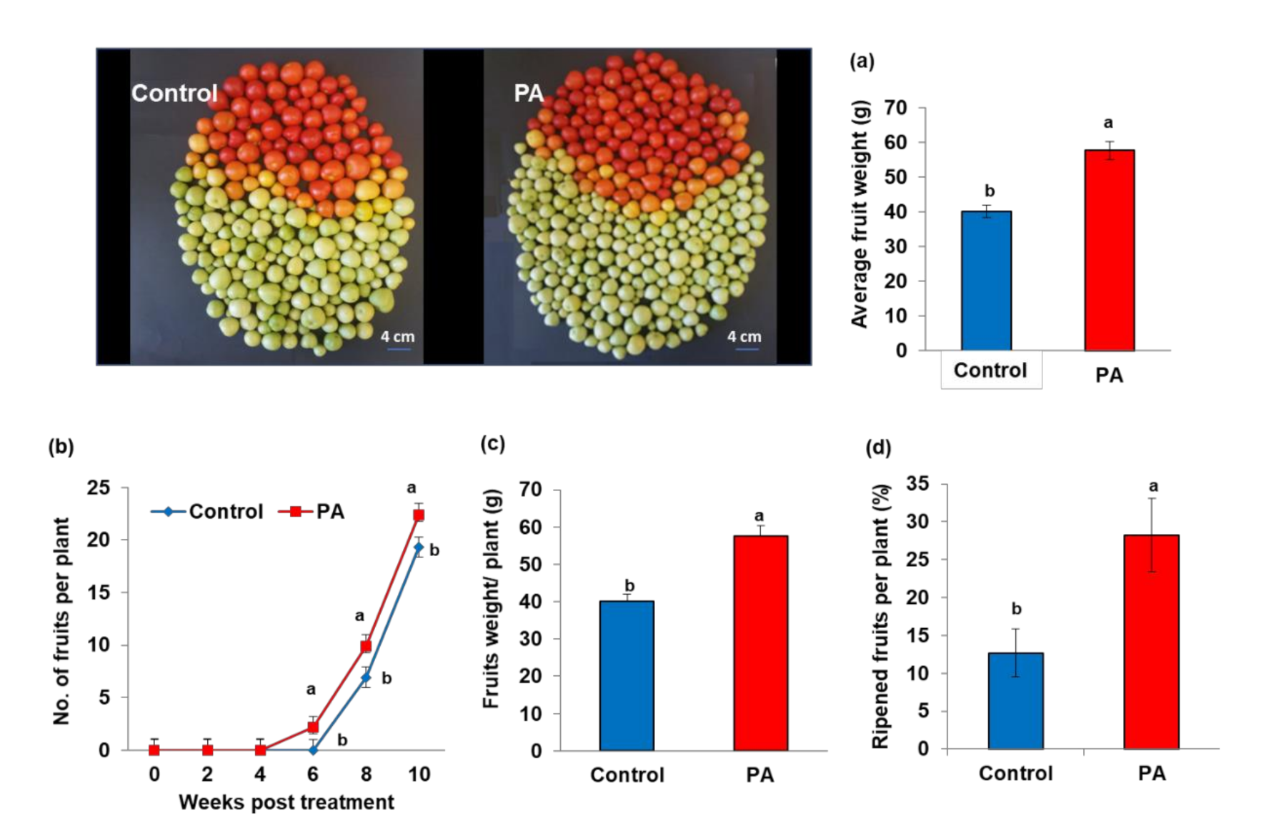 Agronomy 12 00383 g005 Agronomy 12 00383 g005