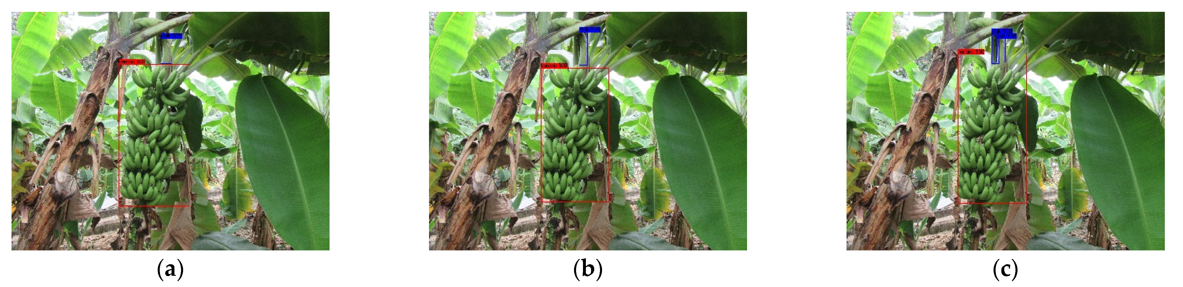 Agronomy 12 00391 g006