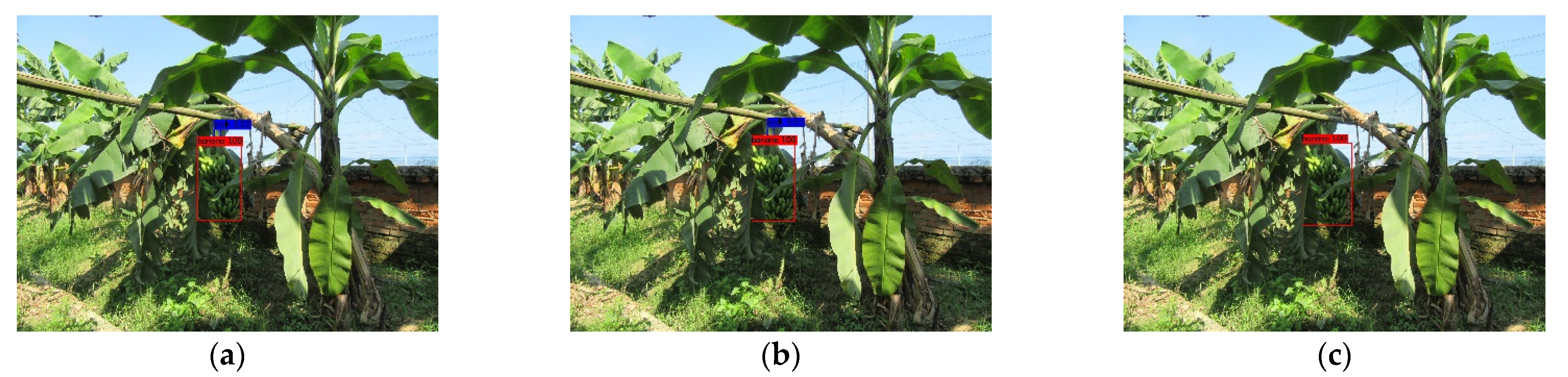 Agronomy 12 00391 g007