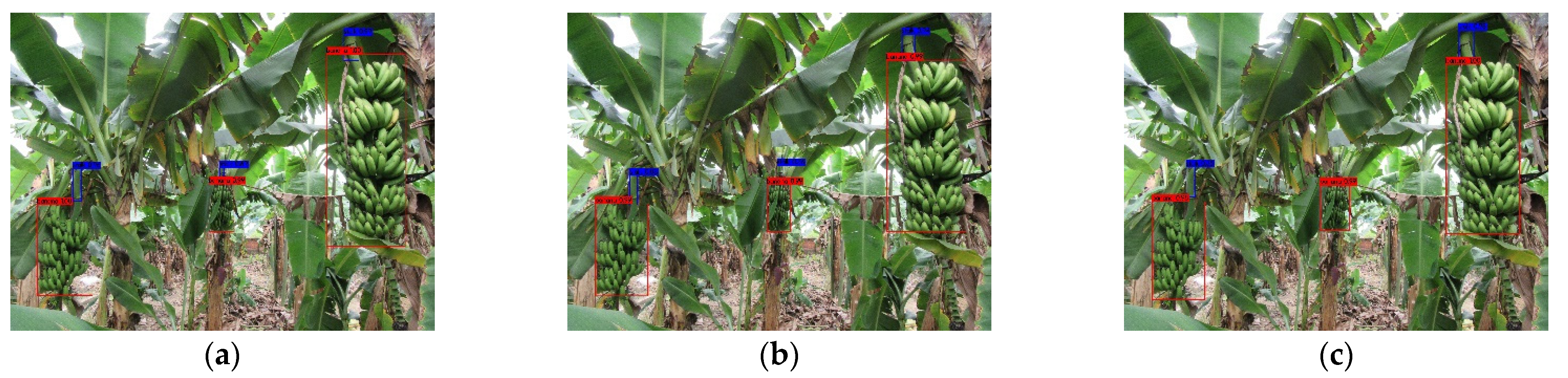Agronomy 12 00391 g008