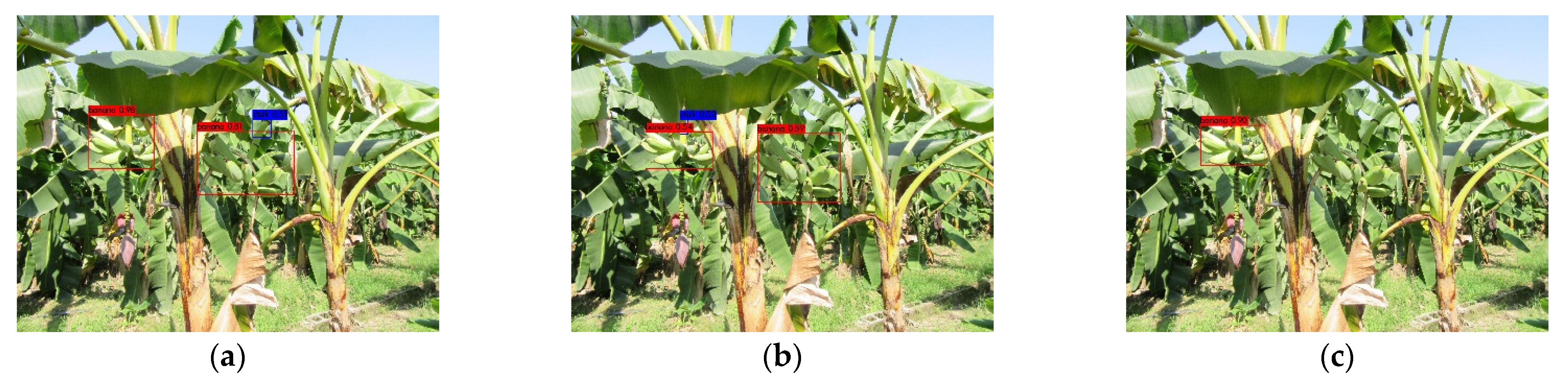 Agronomy 12 00391 g009