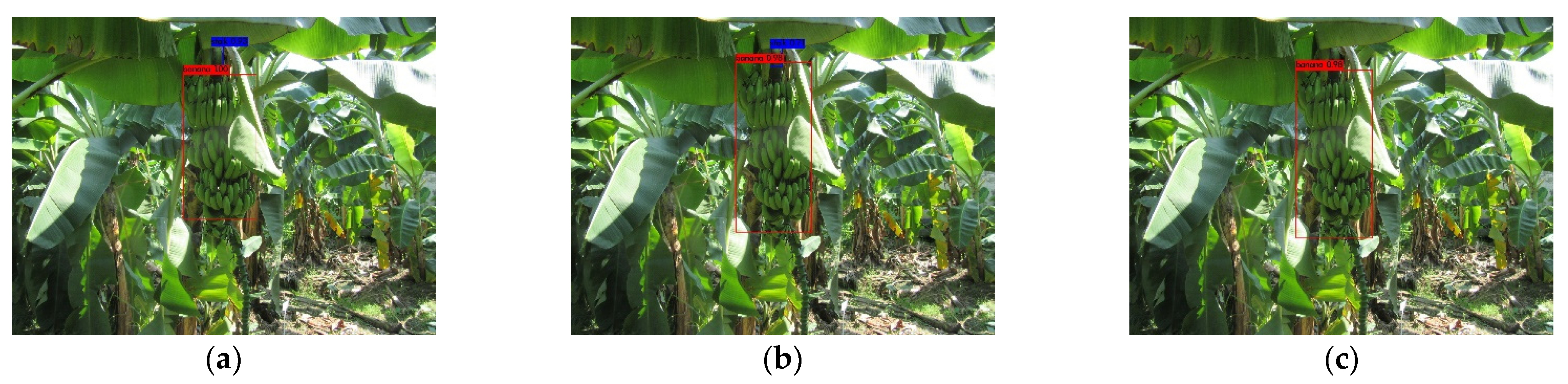 Agronomy 12 00391 g010