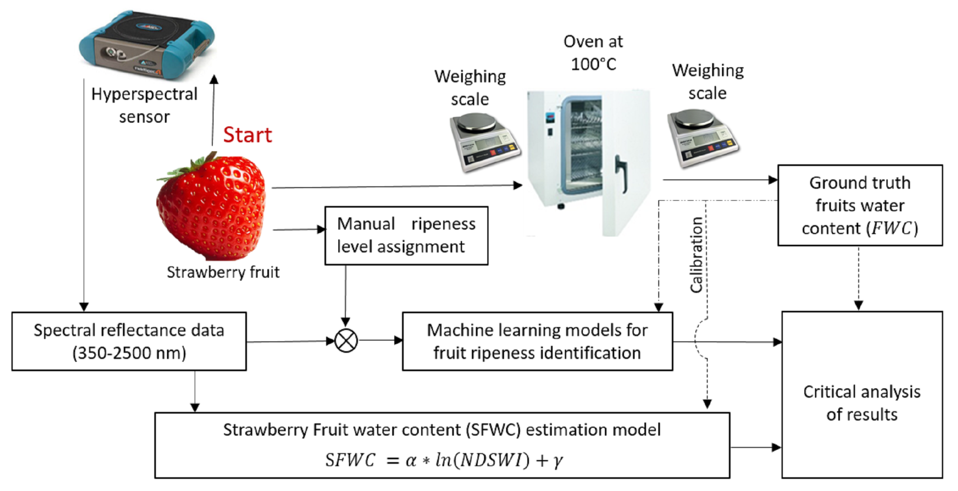 Agronomy 12 00425 g001