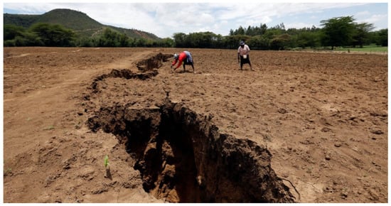 Agronomy 12 00439 g002 550