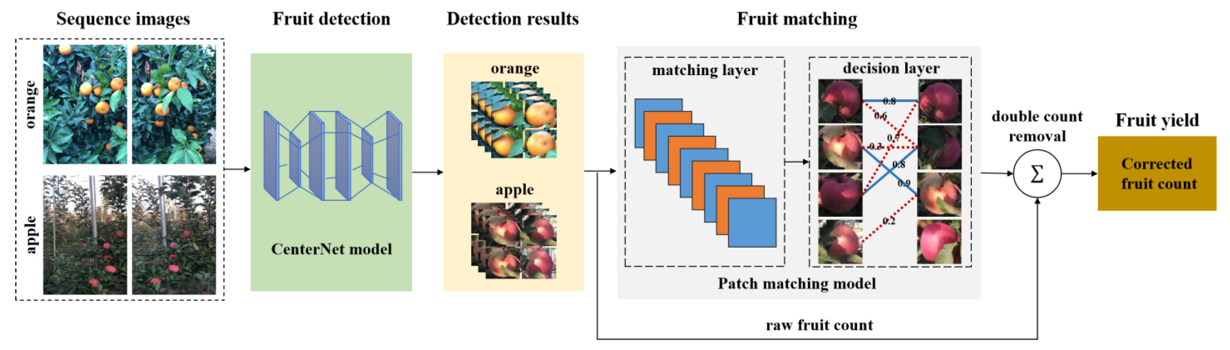 Agronomy 12 00440 g003