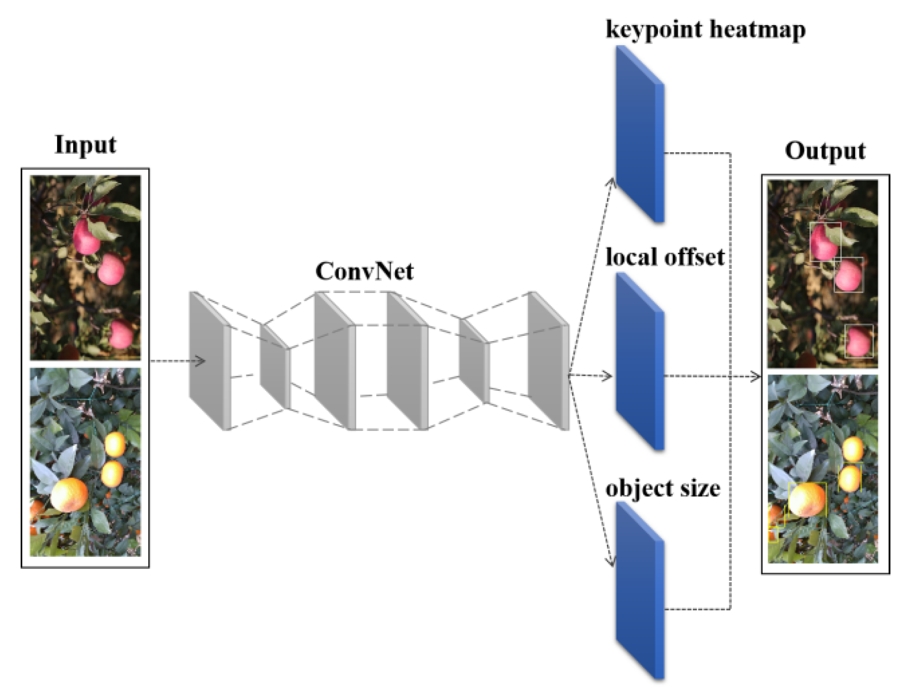 Agronomy 12 00440 g004